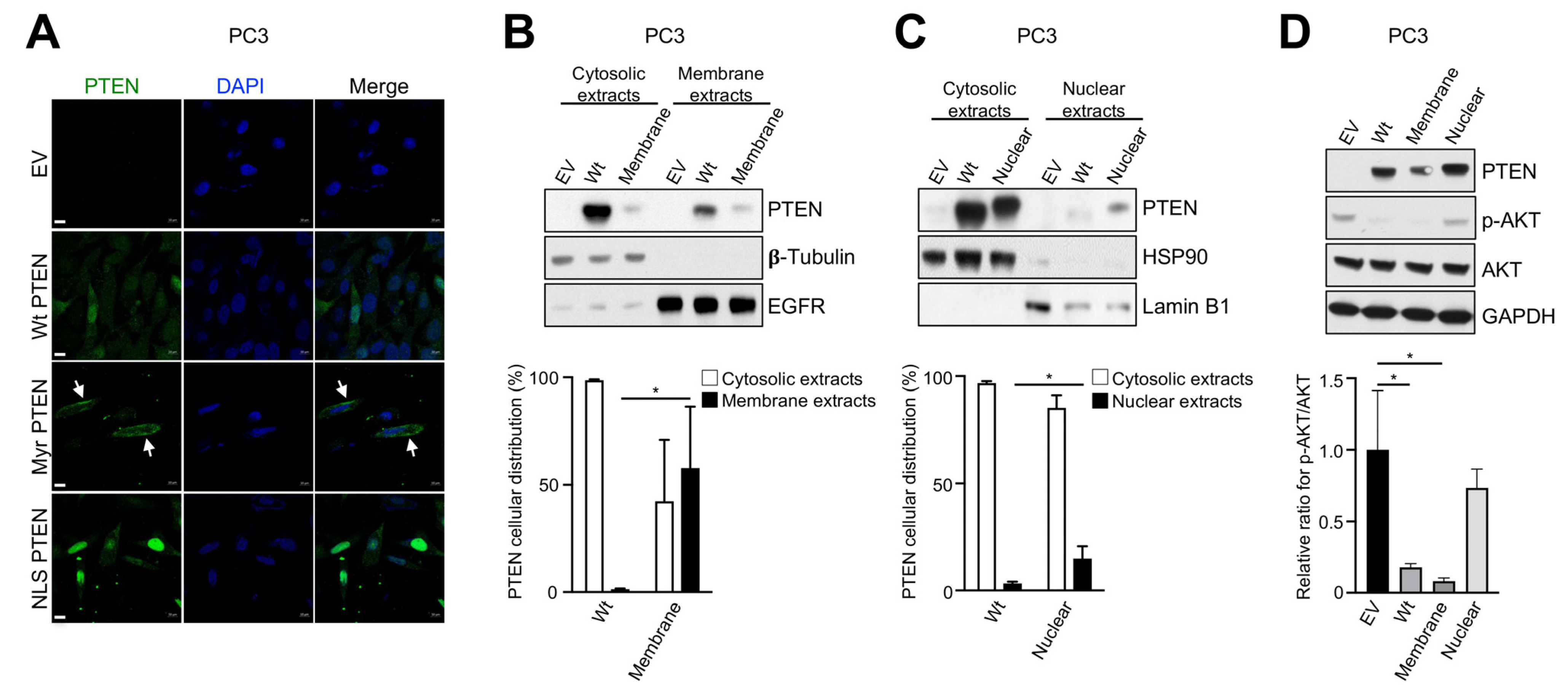 Metabolites 13 00939 g001