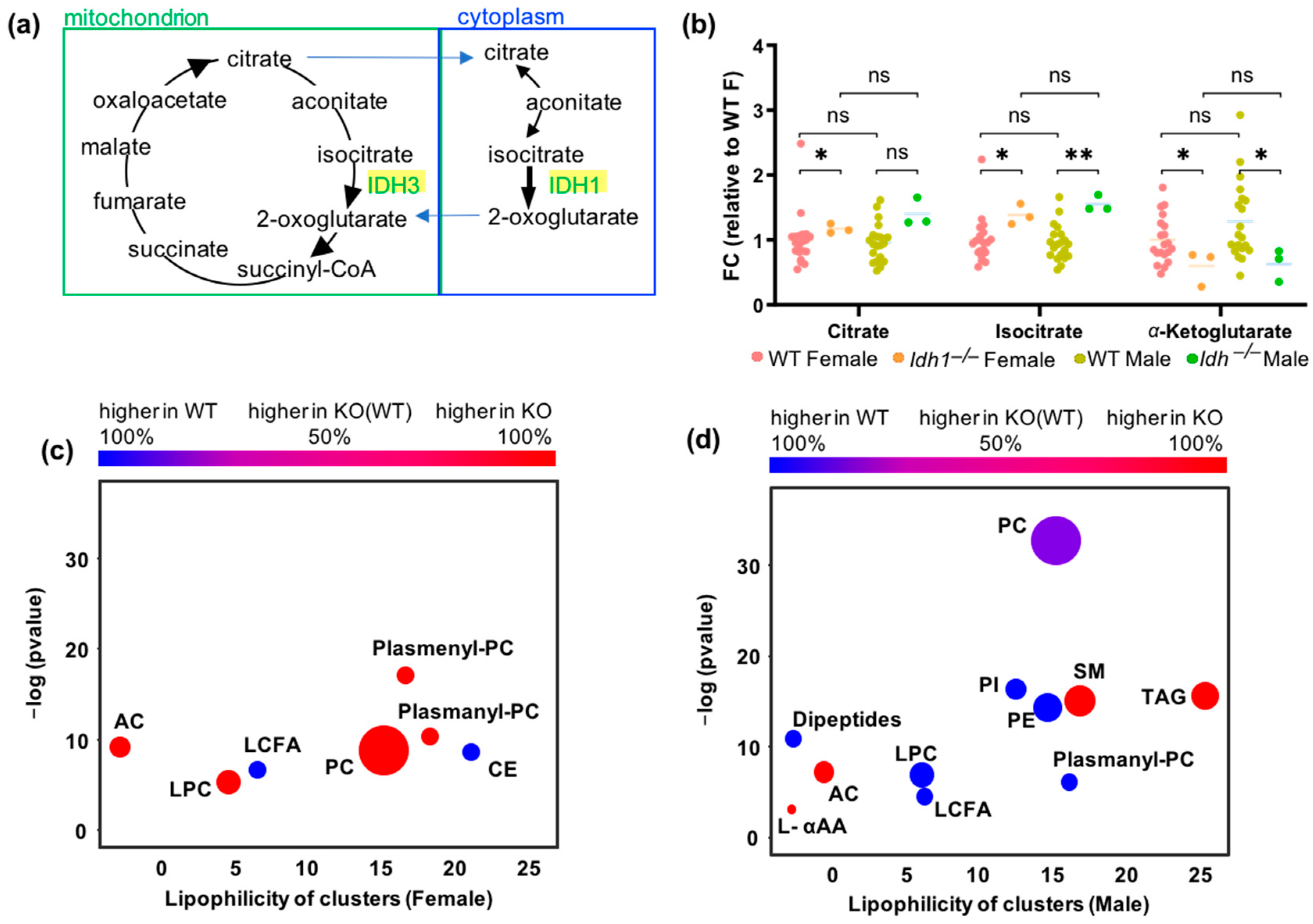 Metabolites 13 00947 g006