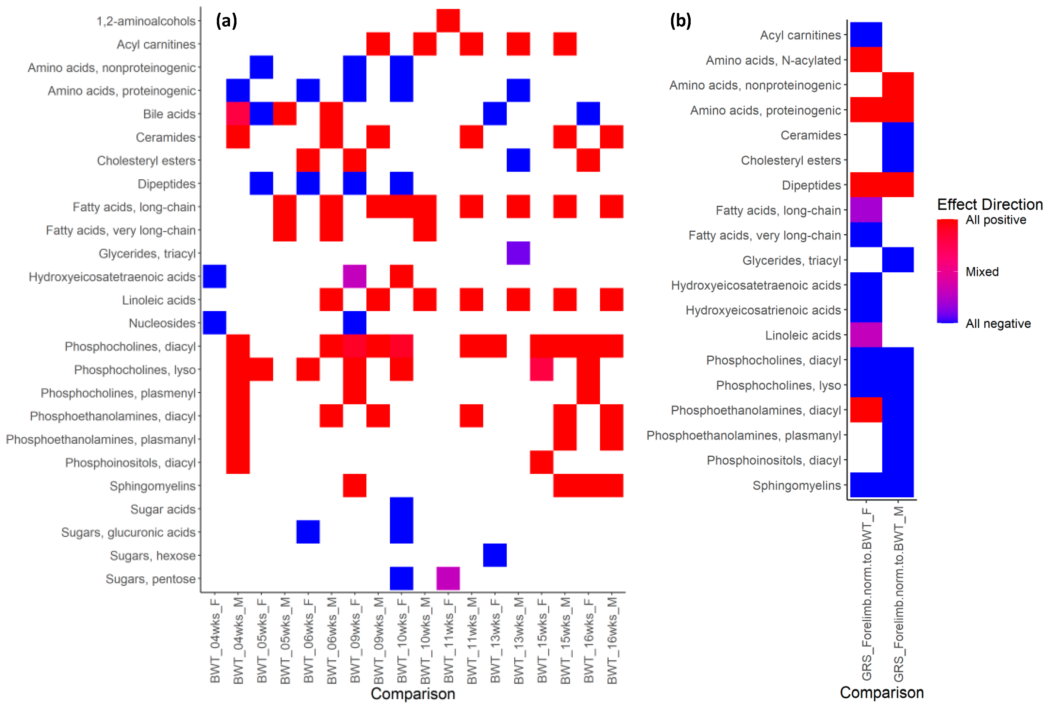 Metabolites 13 00947 g007