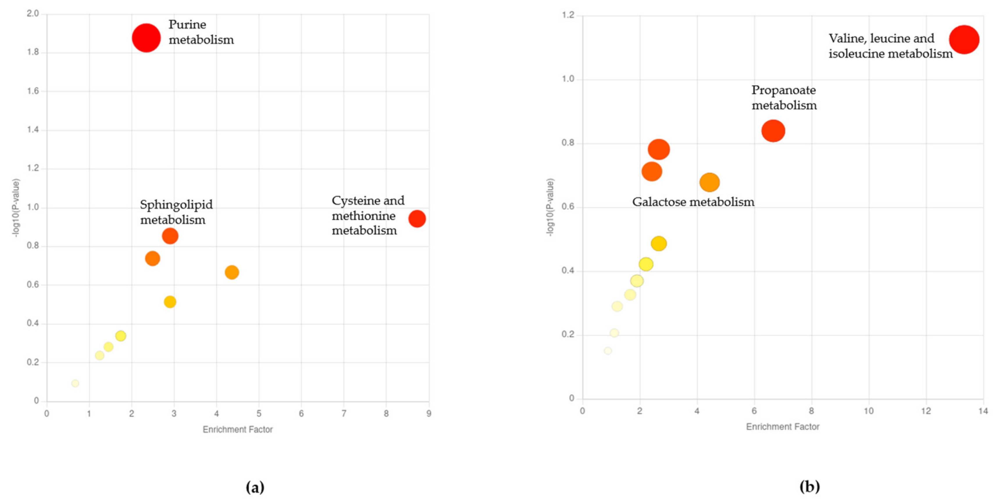 Metabolites 13 00953 g004 Metabolites 13 00953 g004