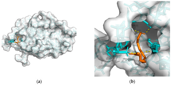 Metabolites 13 00954 g002