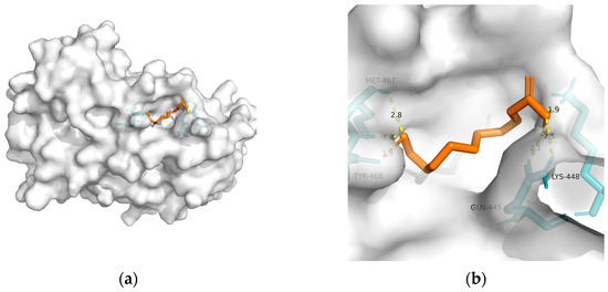 Metabolites 13 00954 g004