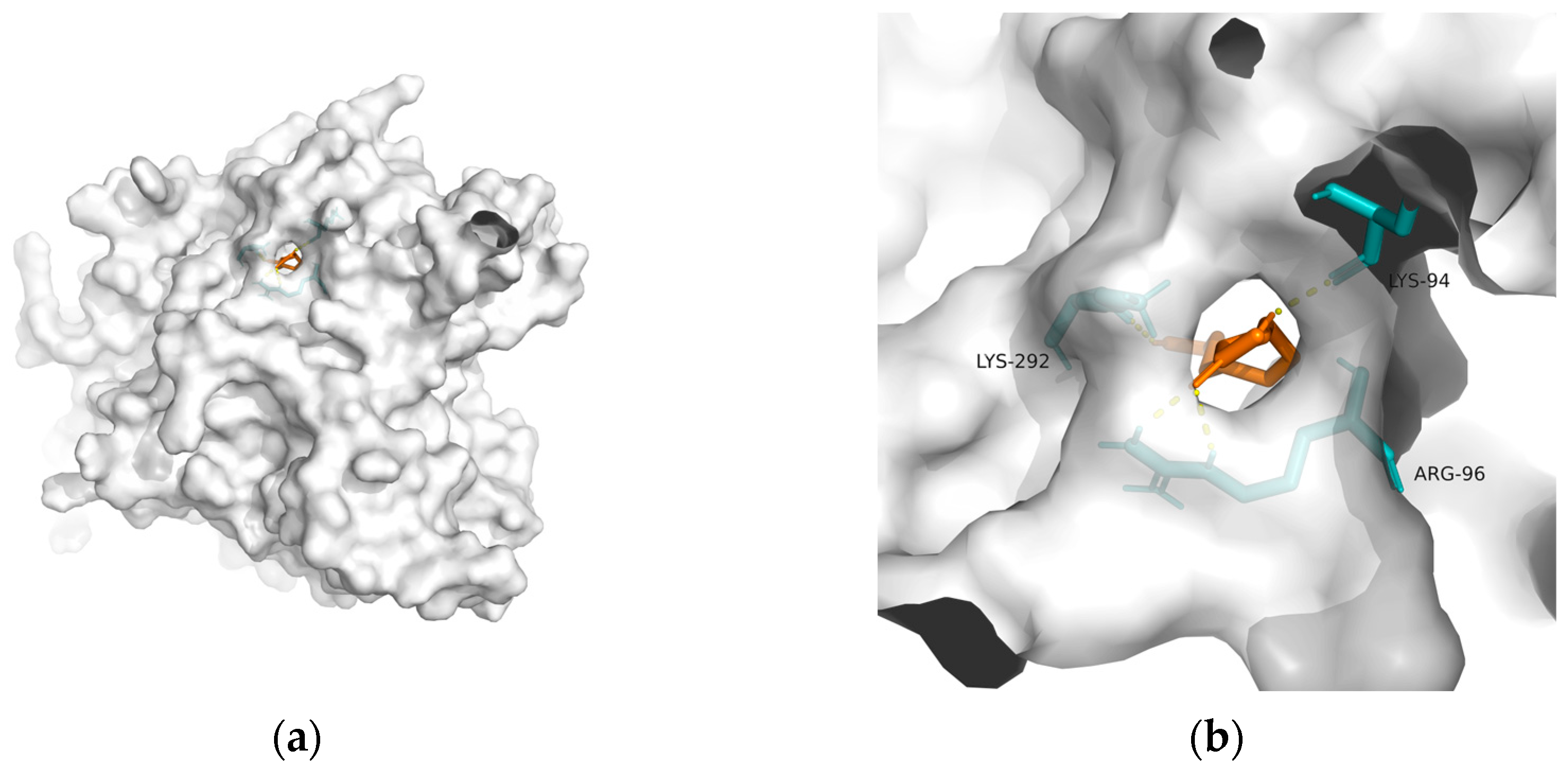 Metabolites 13 00954 g005 Metabolites 13 00954 g005