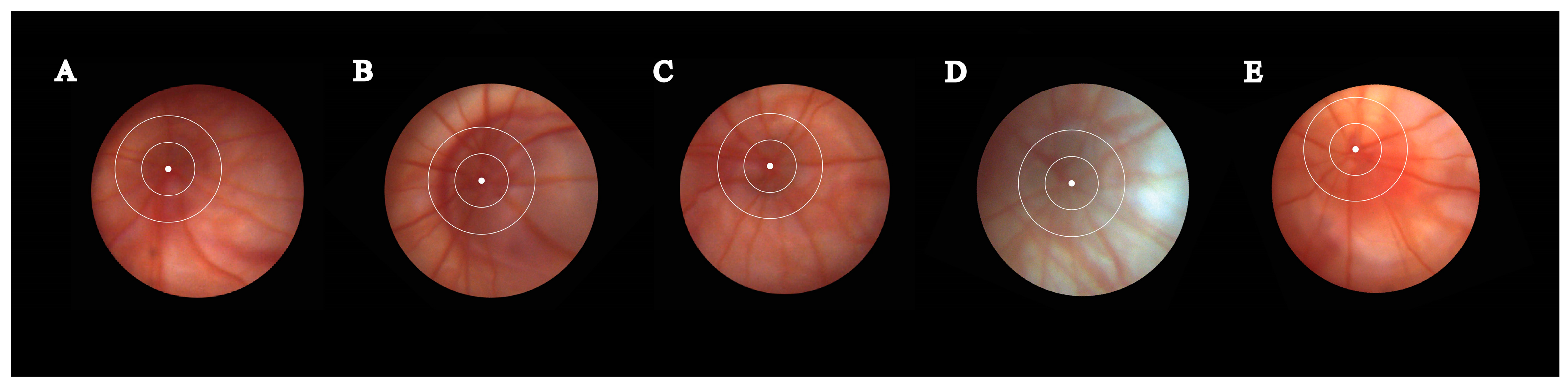 Metabolites 13 00955 g003