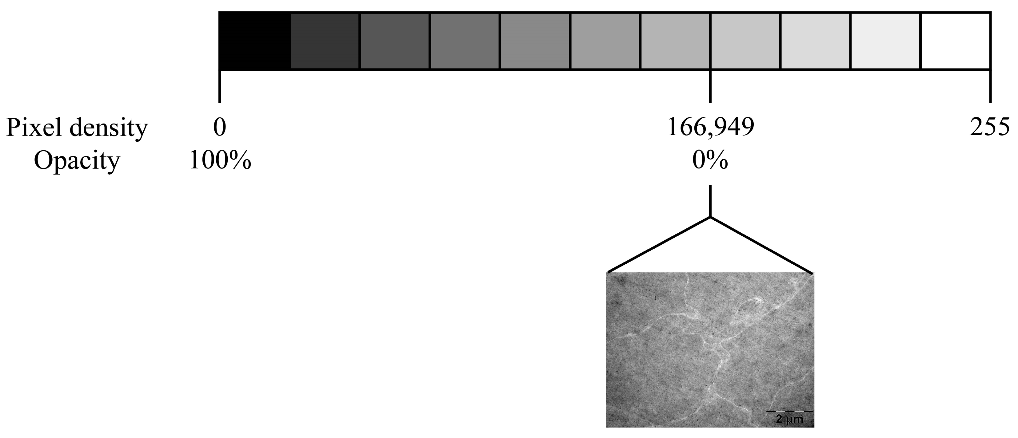 Metabolites 13 00955 g004
