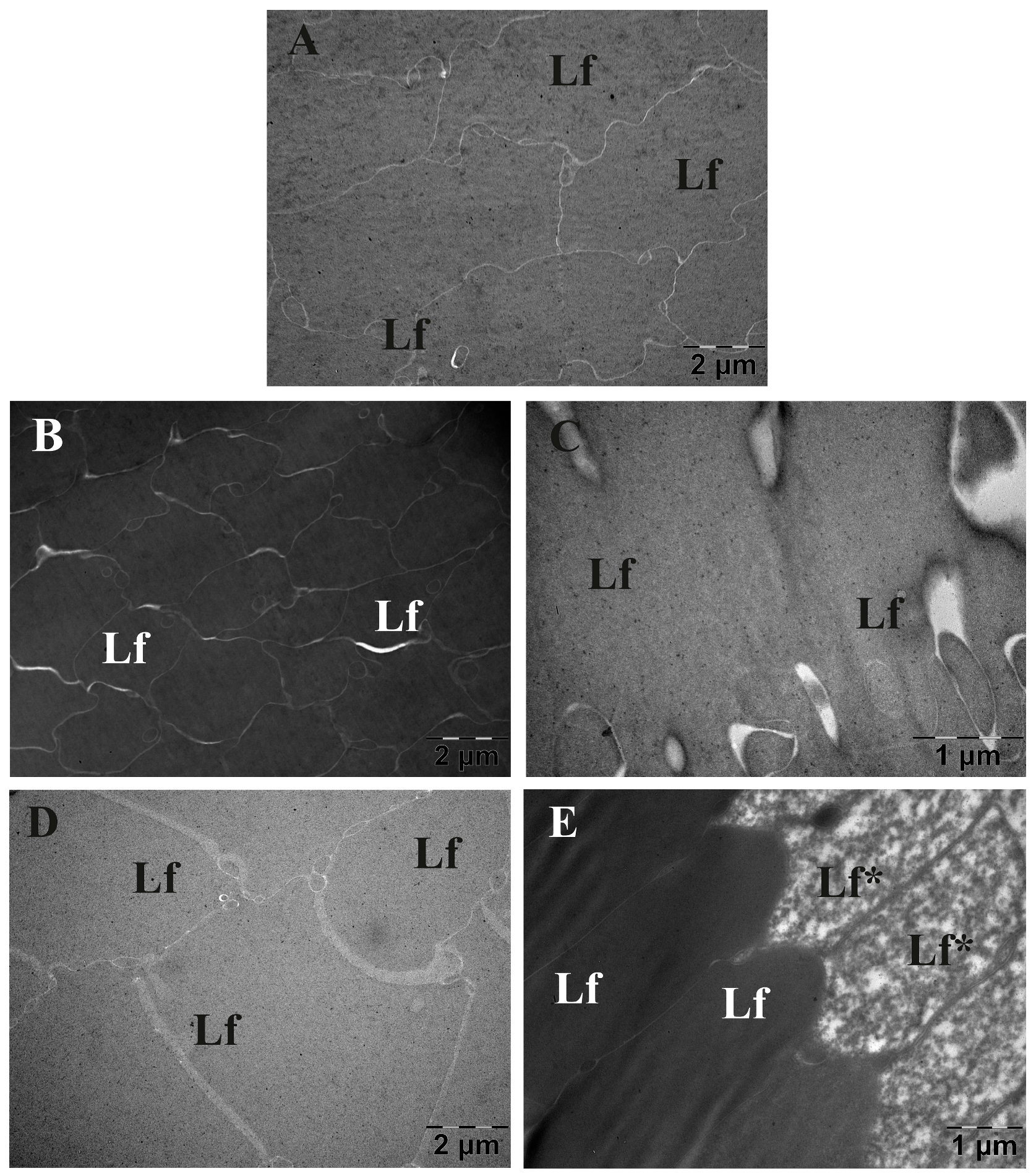 Metabolites 13 00955 g014
