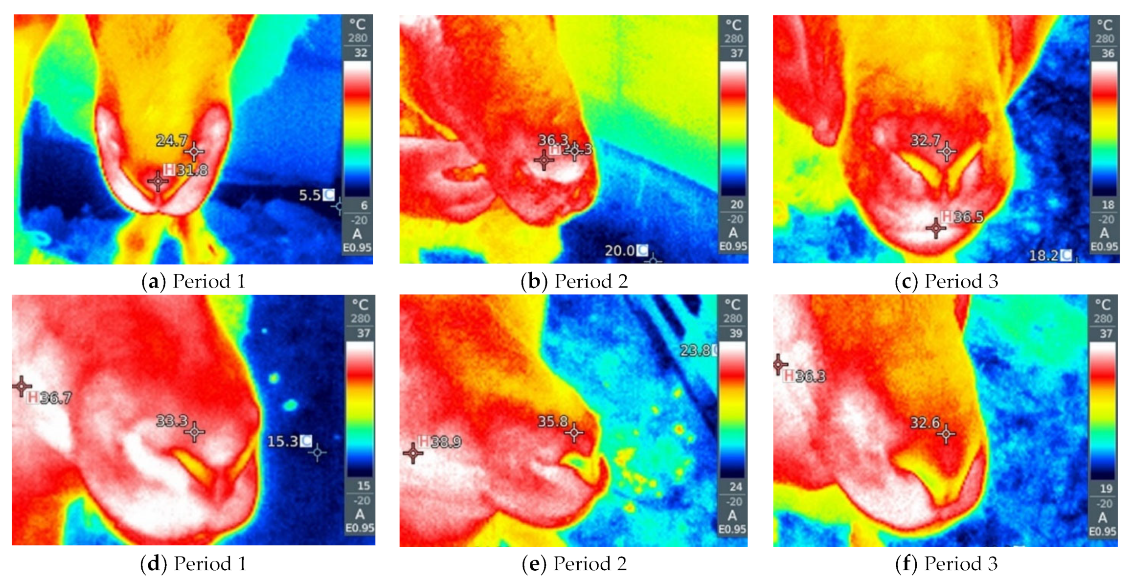 Metabolites 13 00957 g002 Metabolites 13 00957 g002