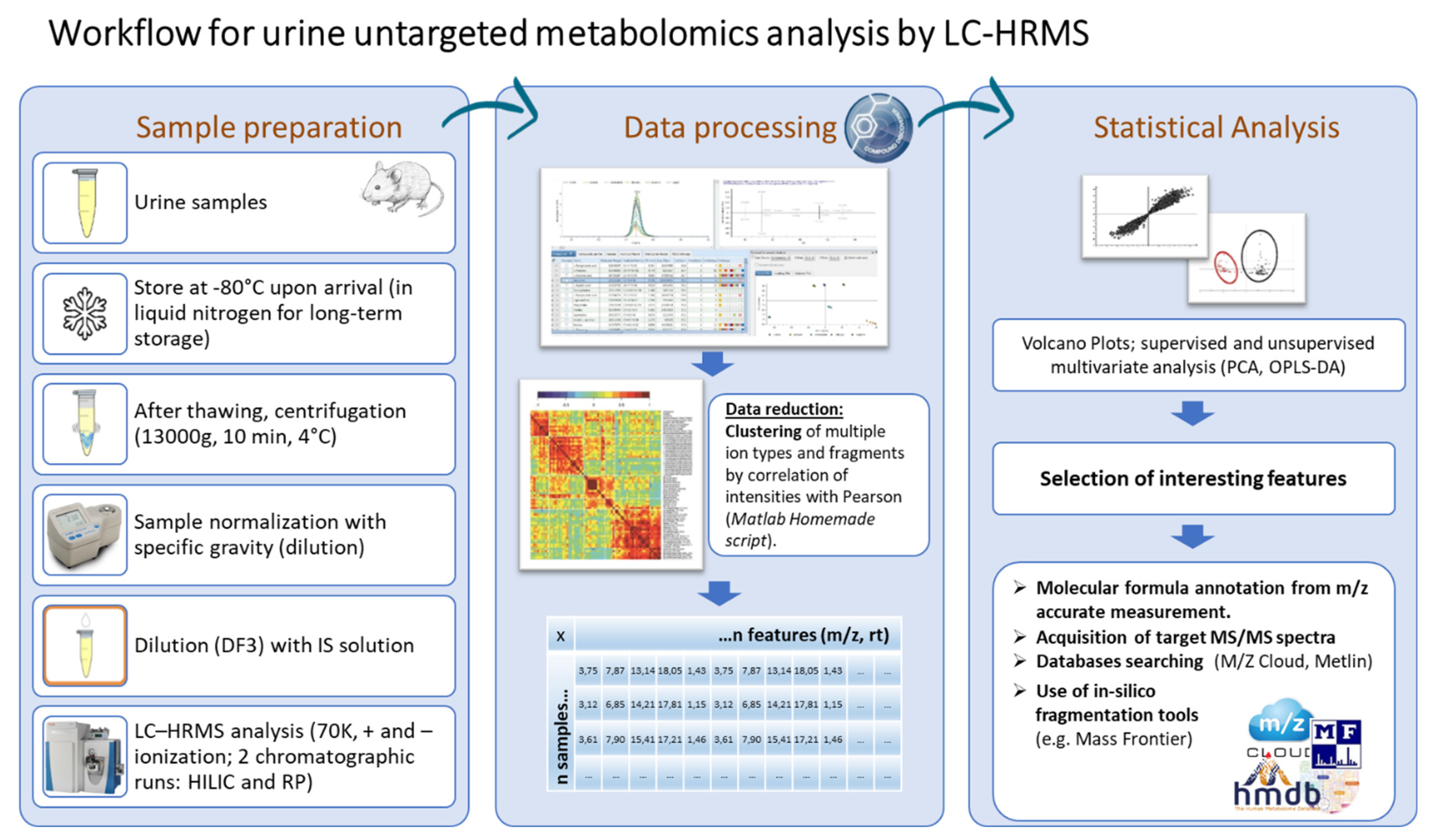 Metabolites 13 00961 g001