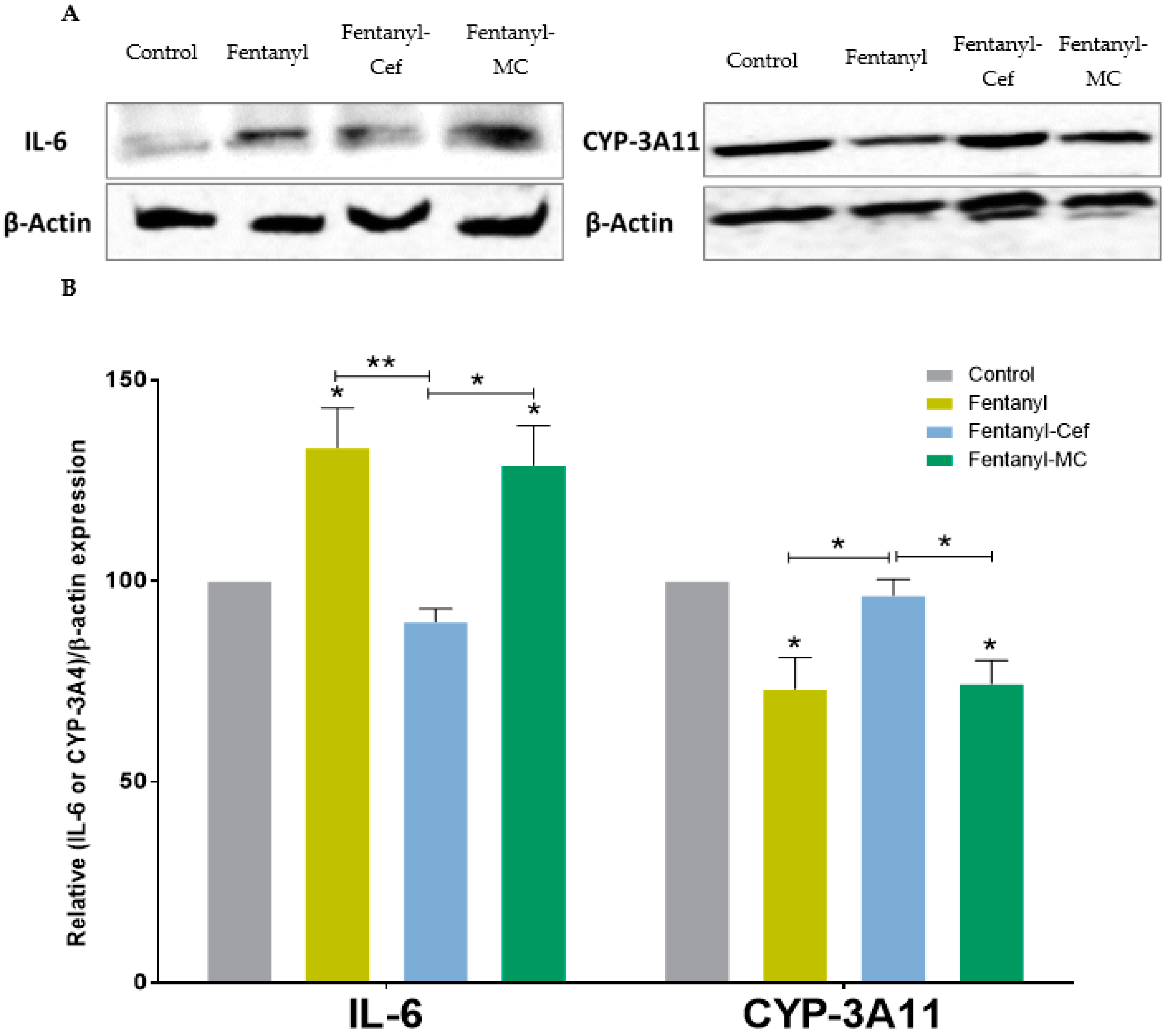 Metabolites 13 00965 g008