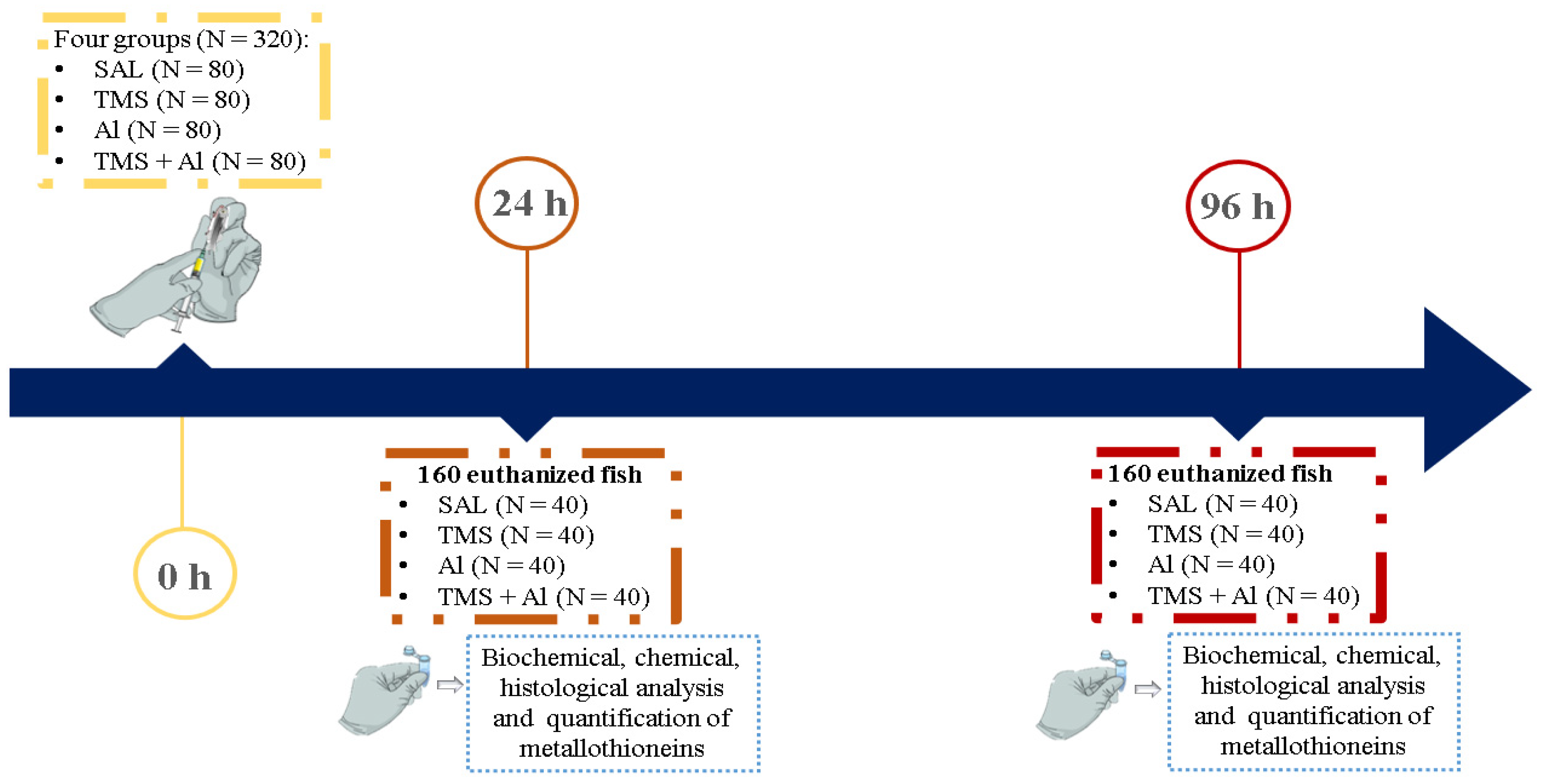 Metabolites 13 00975 g001
