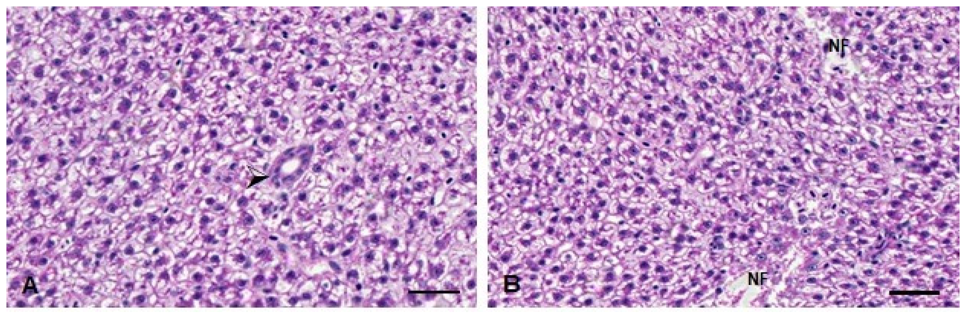 Metabolites 13 00975 g008