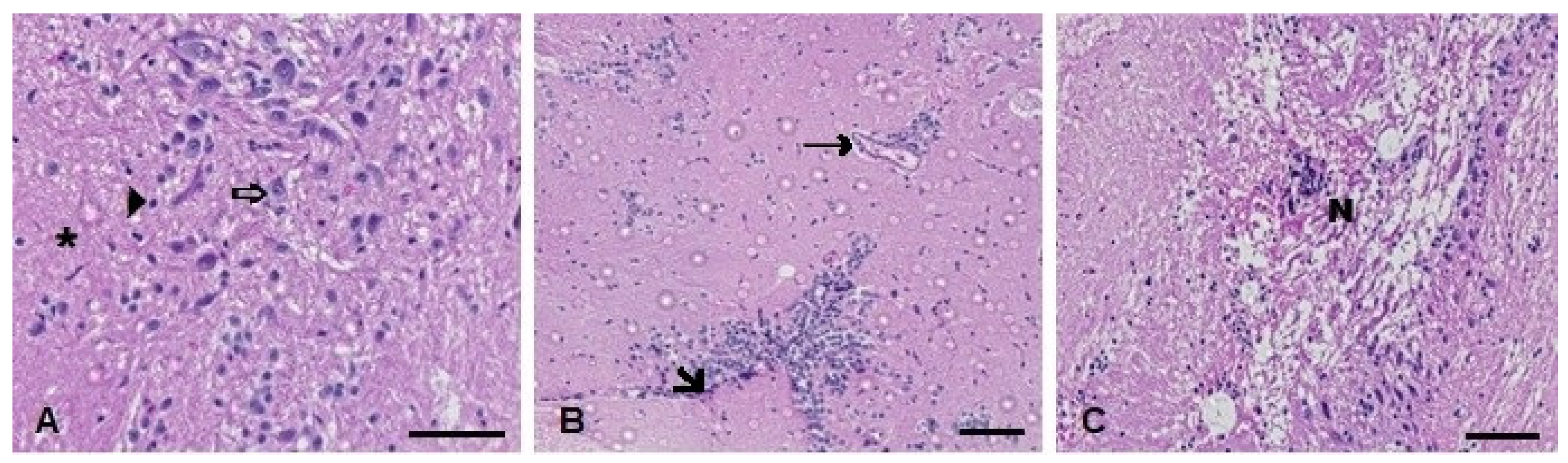 Metabolites 13 00975 g011