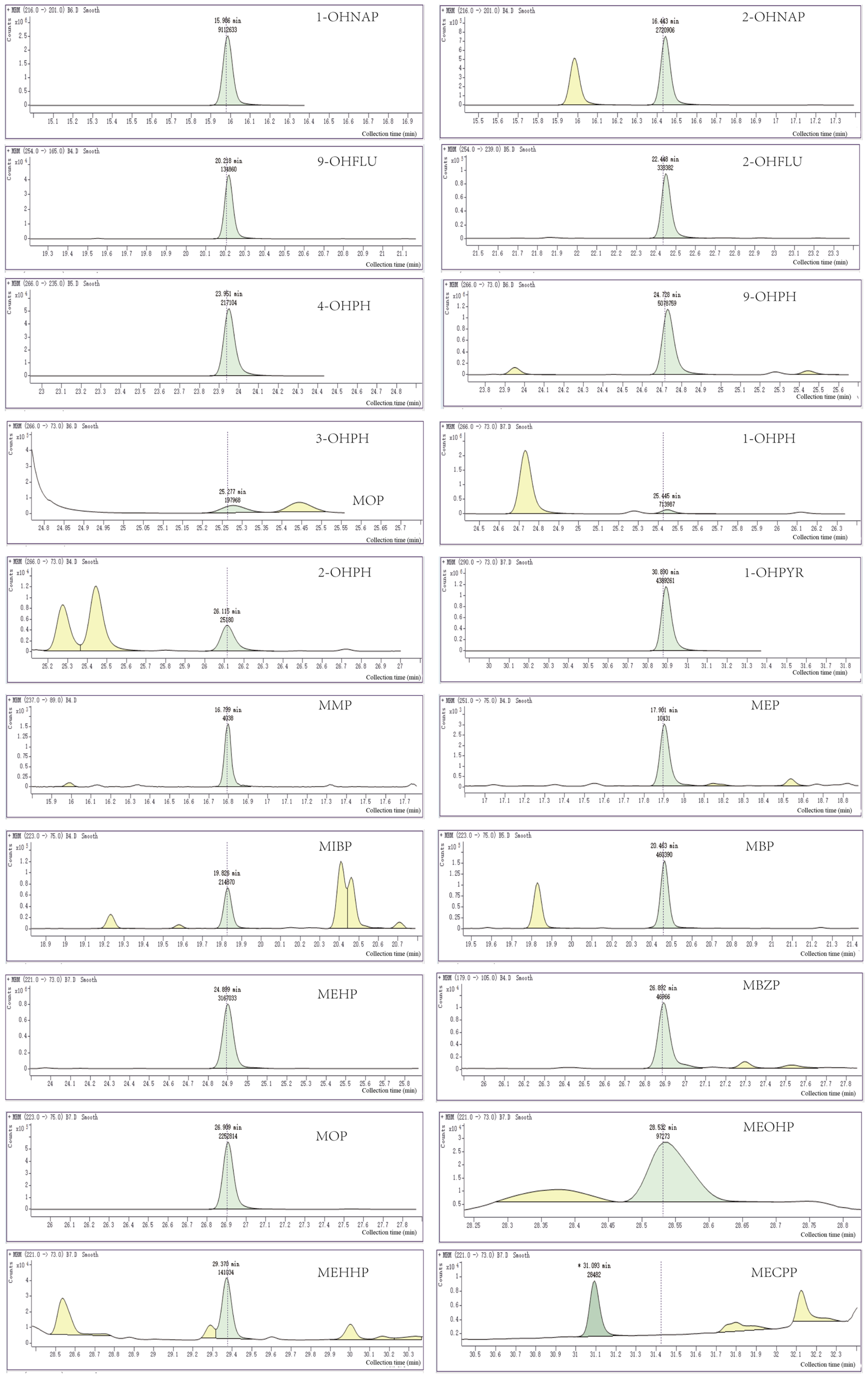 Metabolites 13 00978 g001