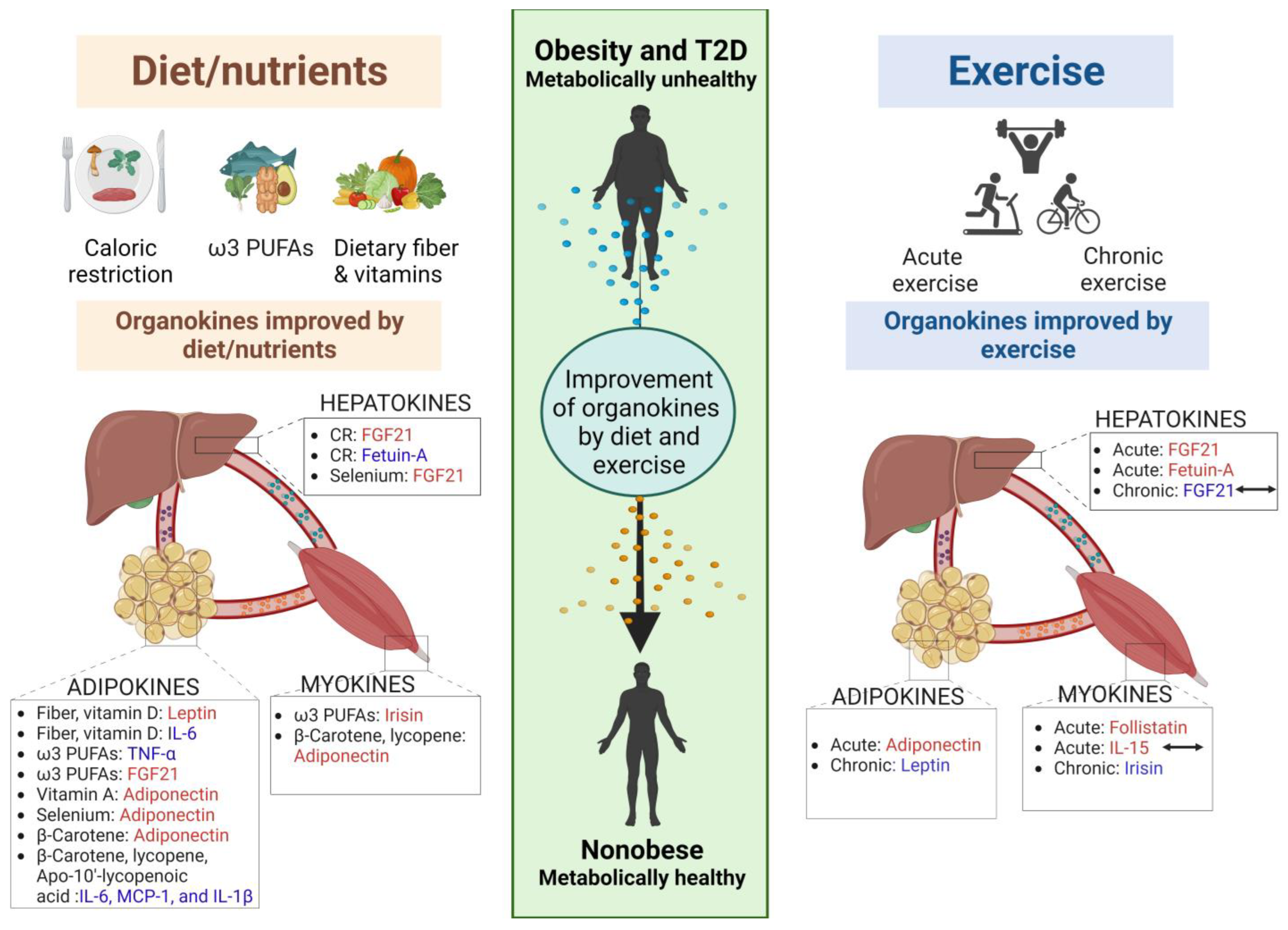 Metabolites 13 00979 g001