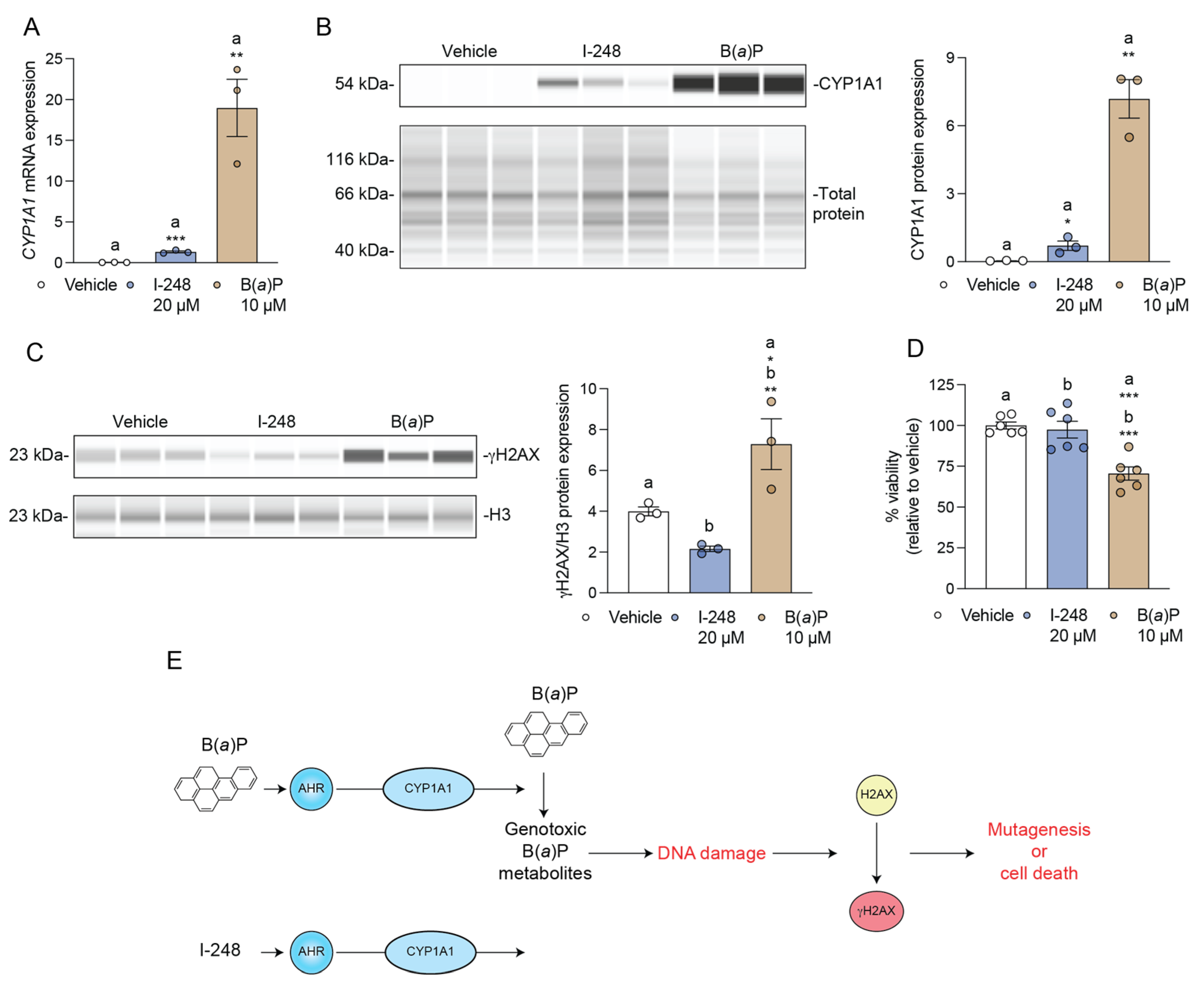 Metabolites 13 00985 g006