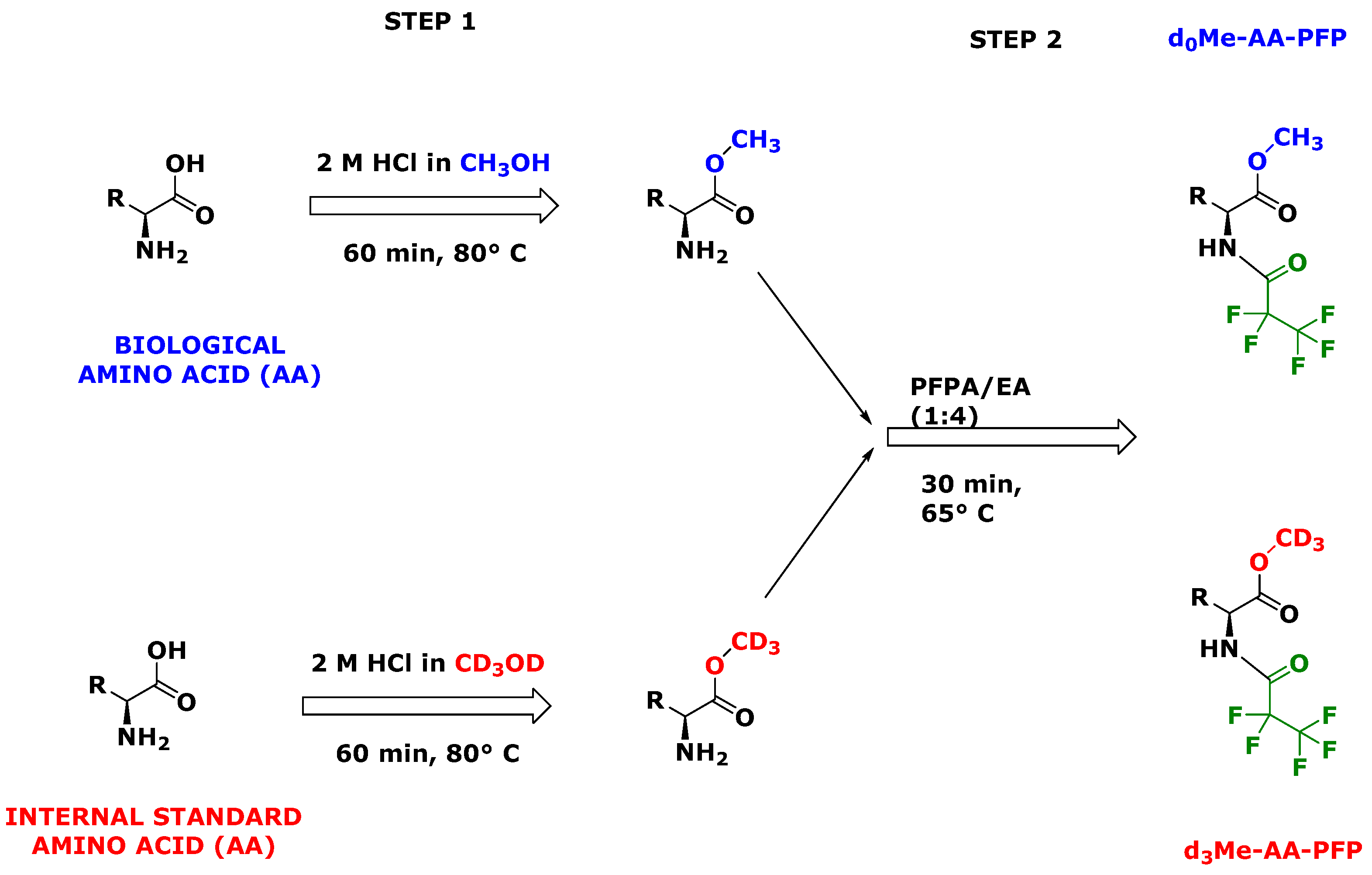 Metabolites 13 00986 g002