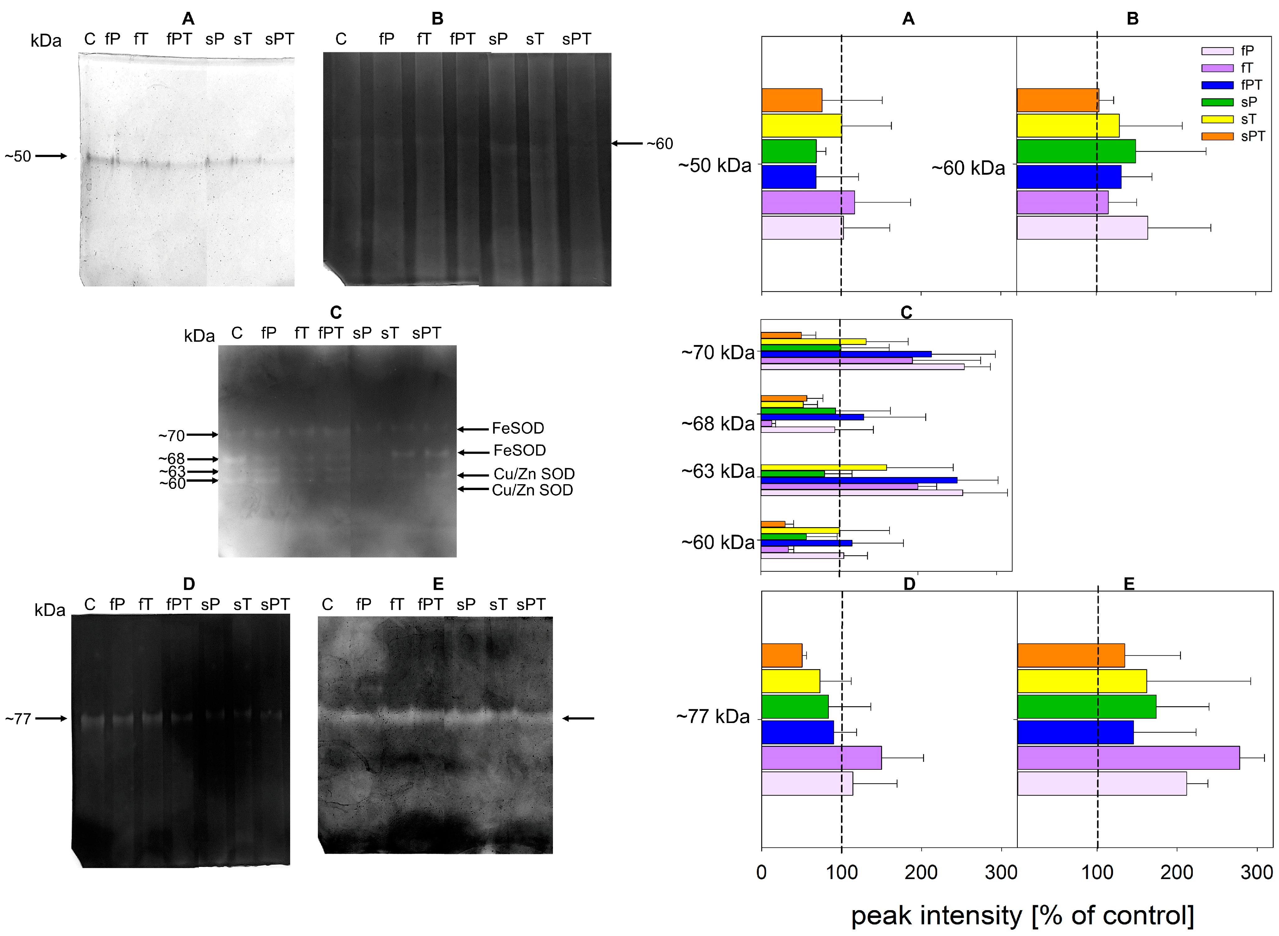 Metabolites 13 00988 g009