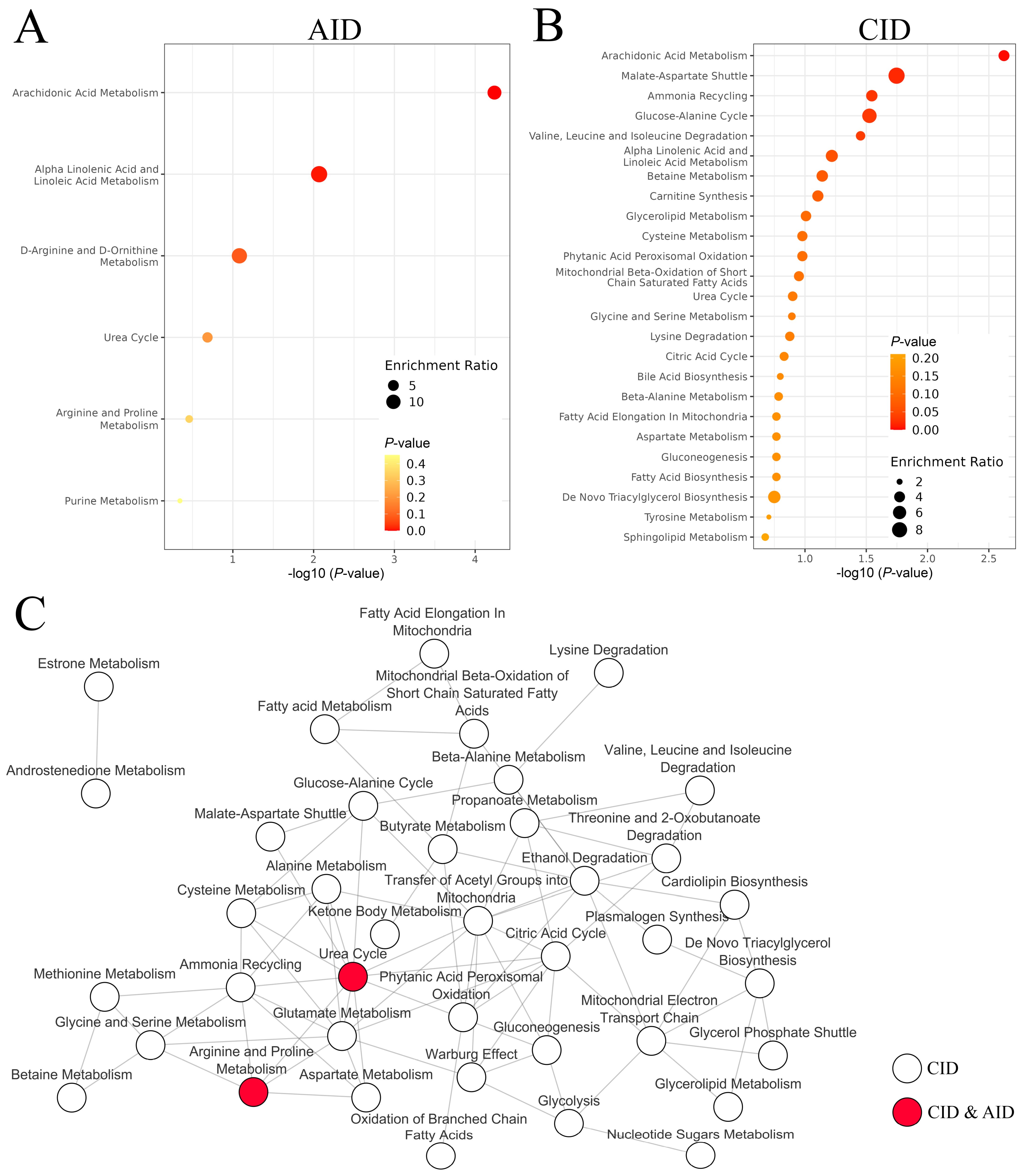 Metabolites 13 01000 g004