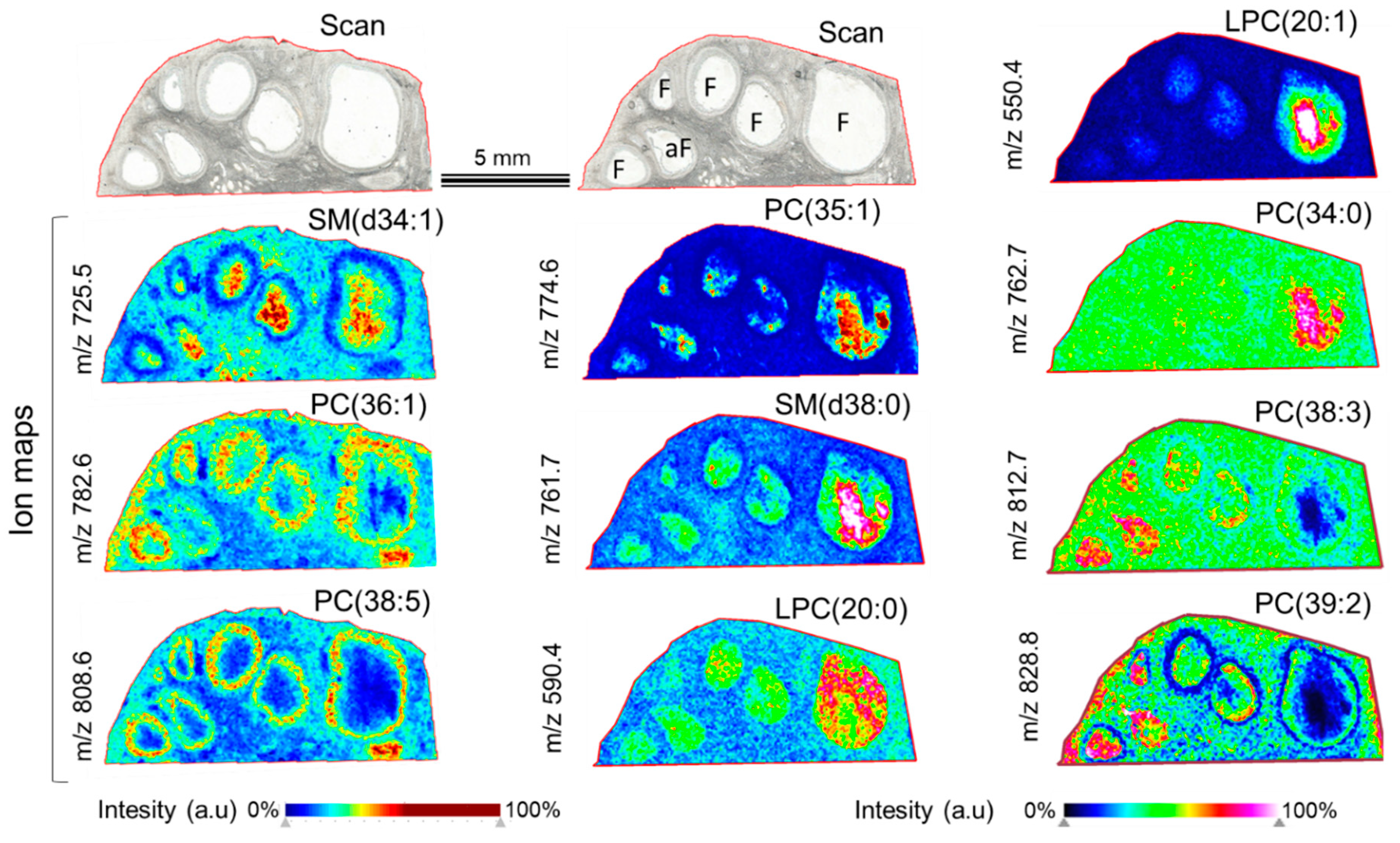 Metabolites 13 01001 g002