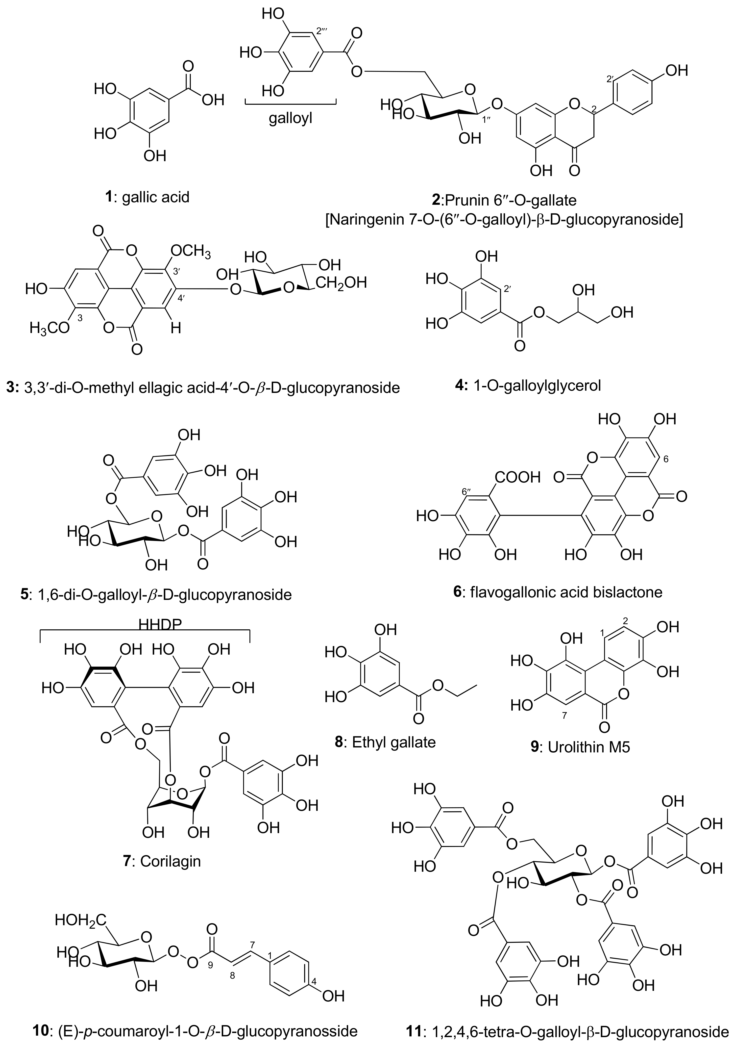 Metabolites 13 01013 g001