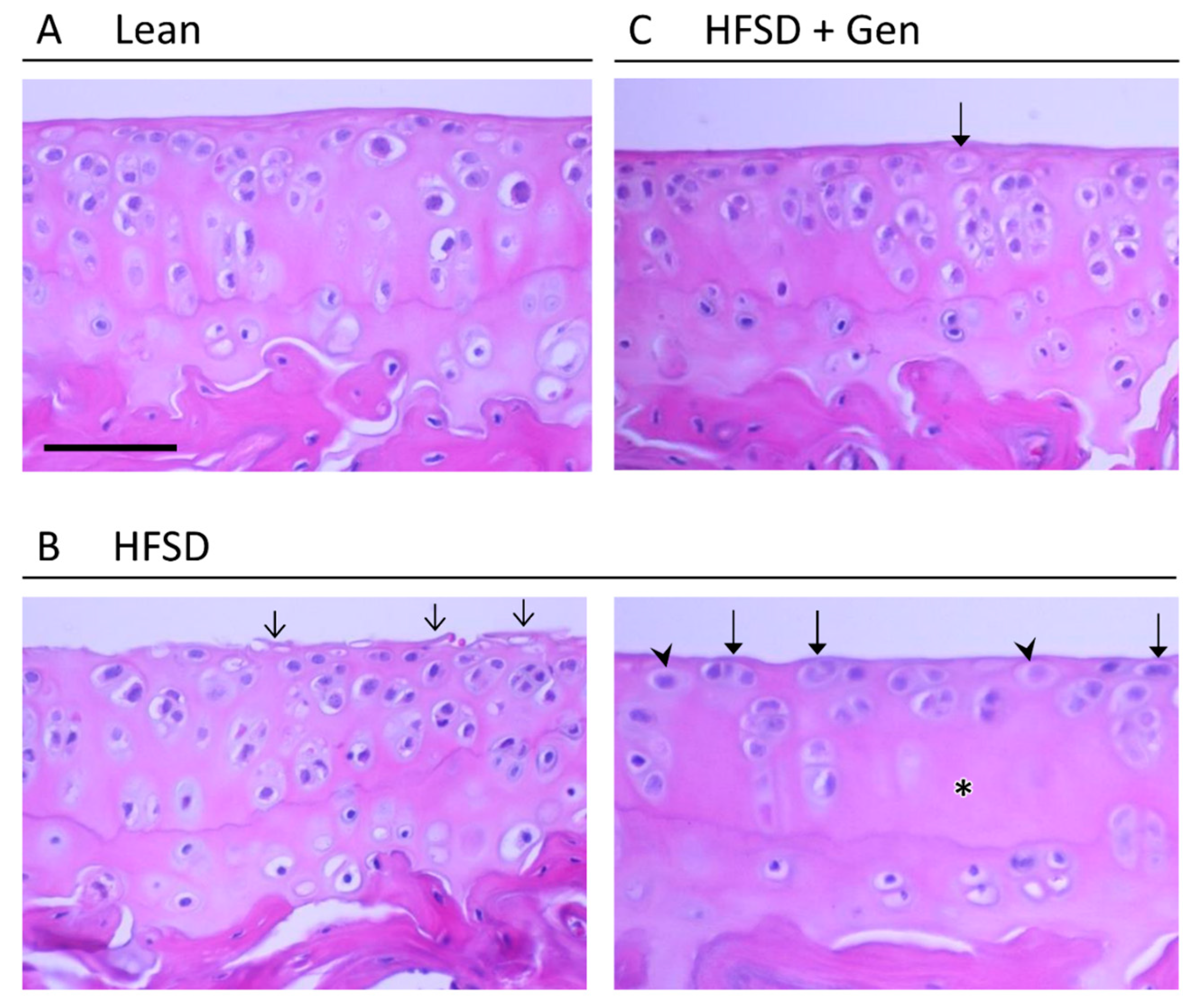 Metabolites 13 01014 g003
