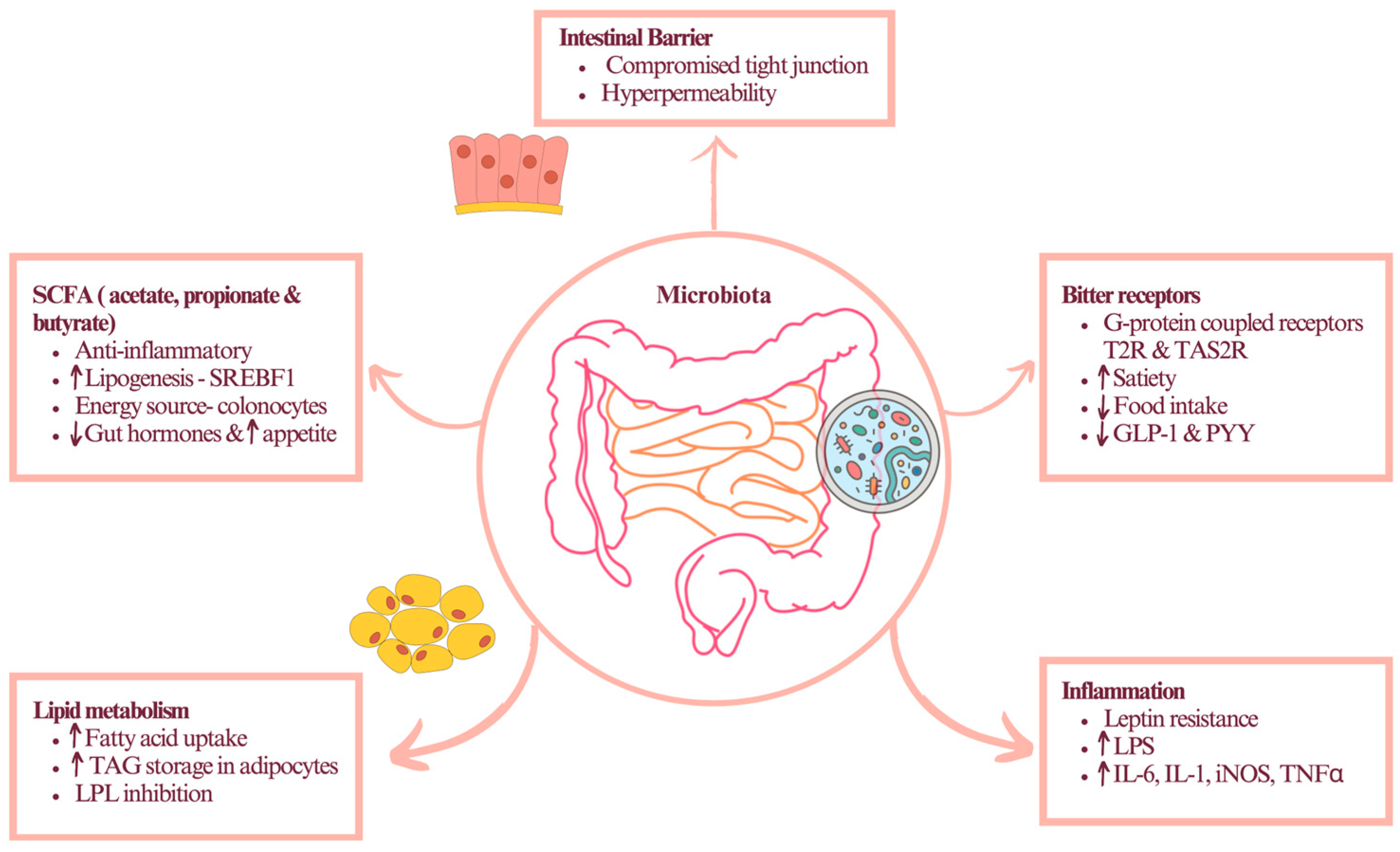 Metabolites 13 01016 g003