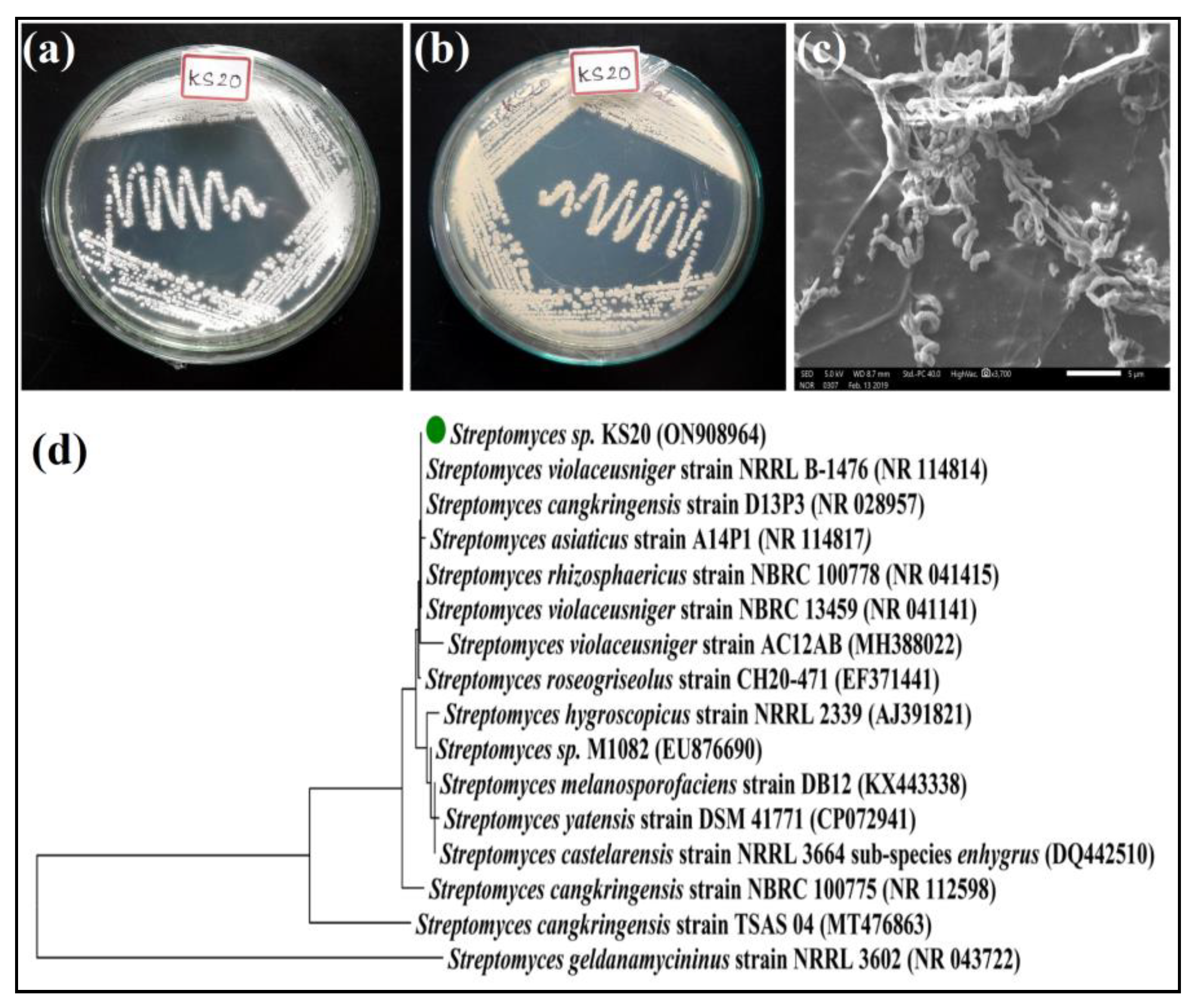Metabolites 13 01022 g001