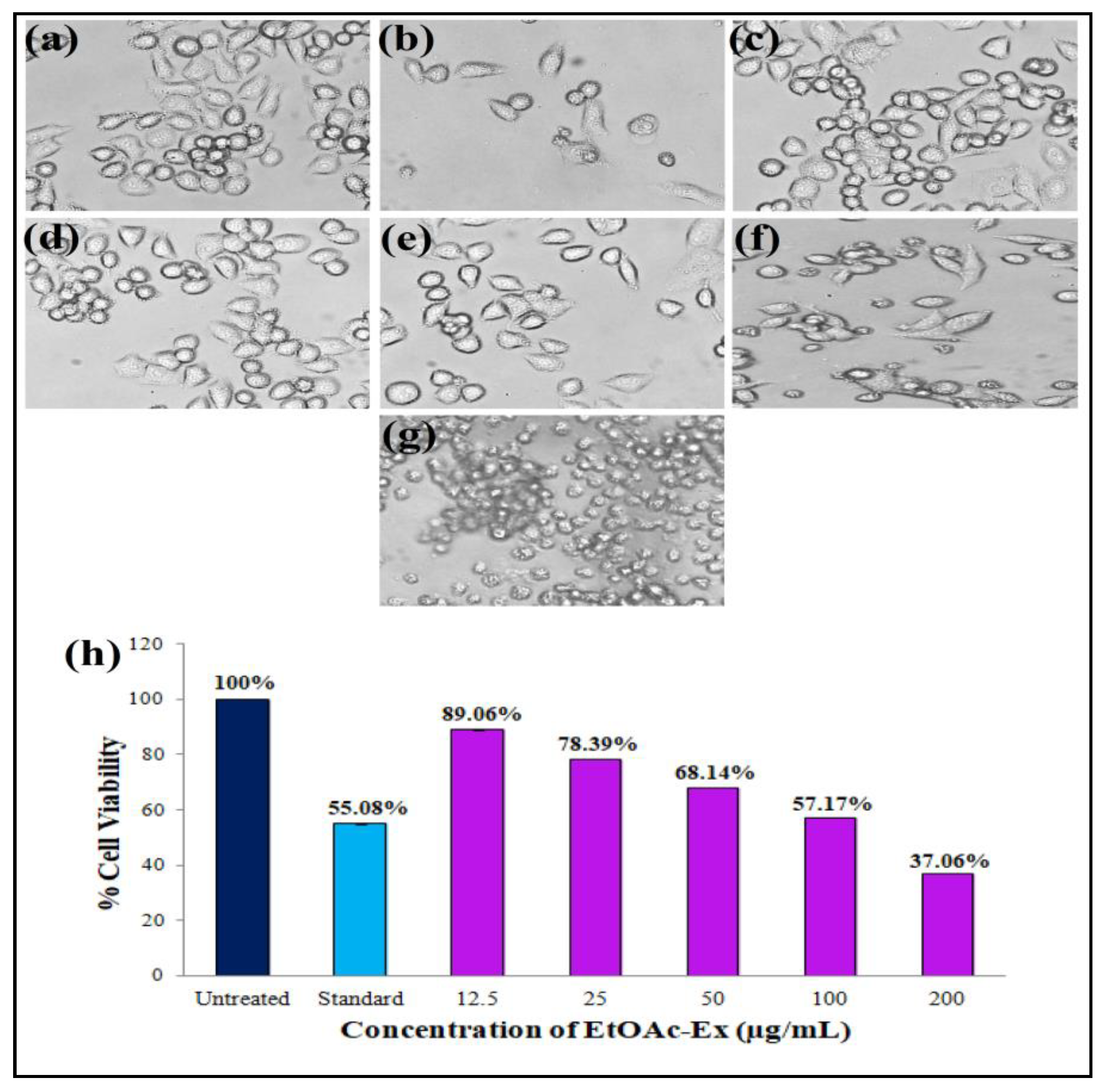 Metabolites 13 01022 g007
