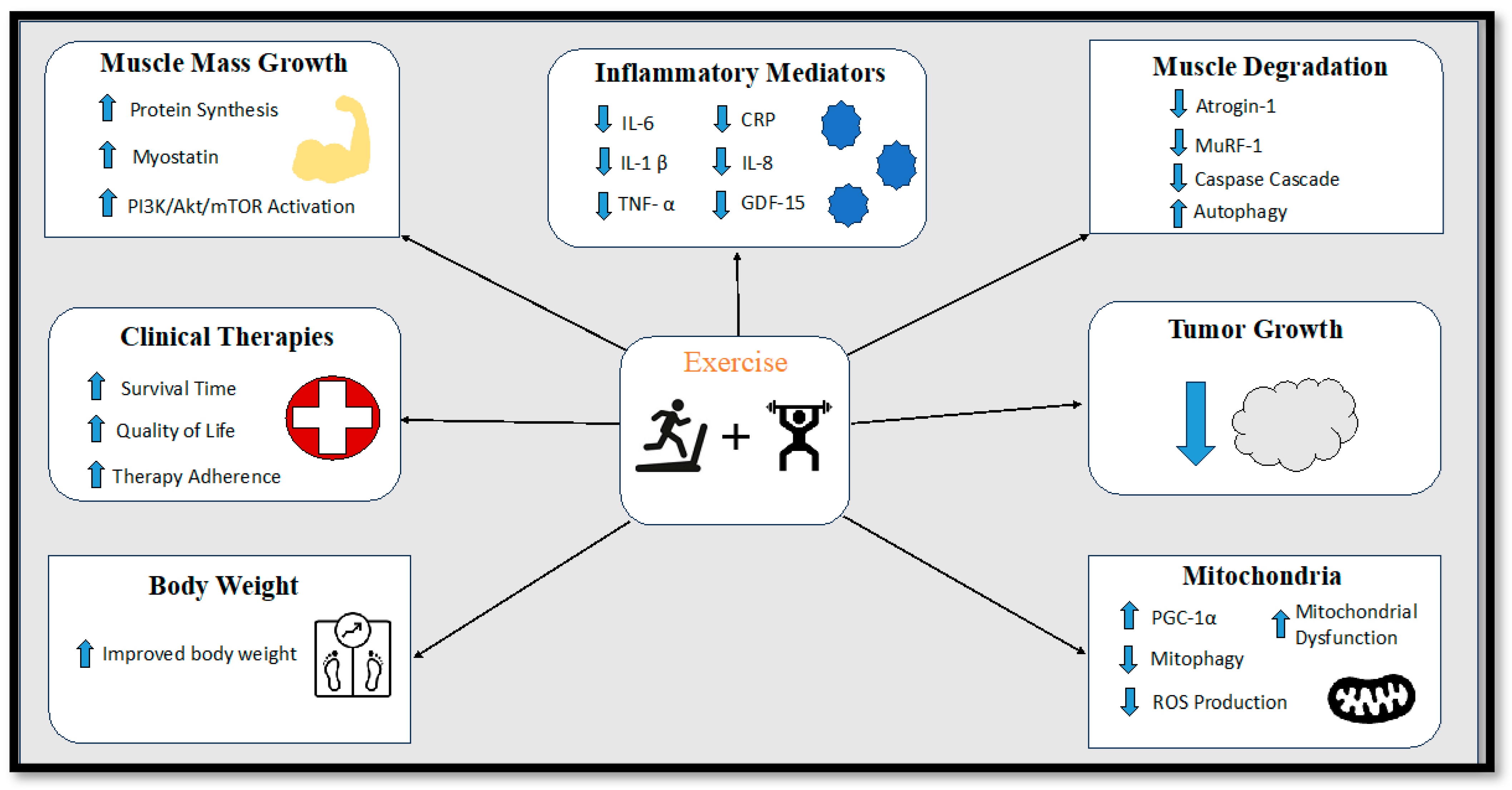 Metabolites 13 01024 g002