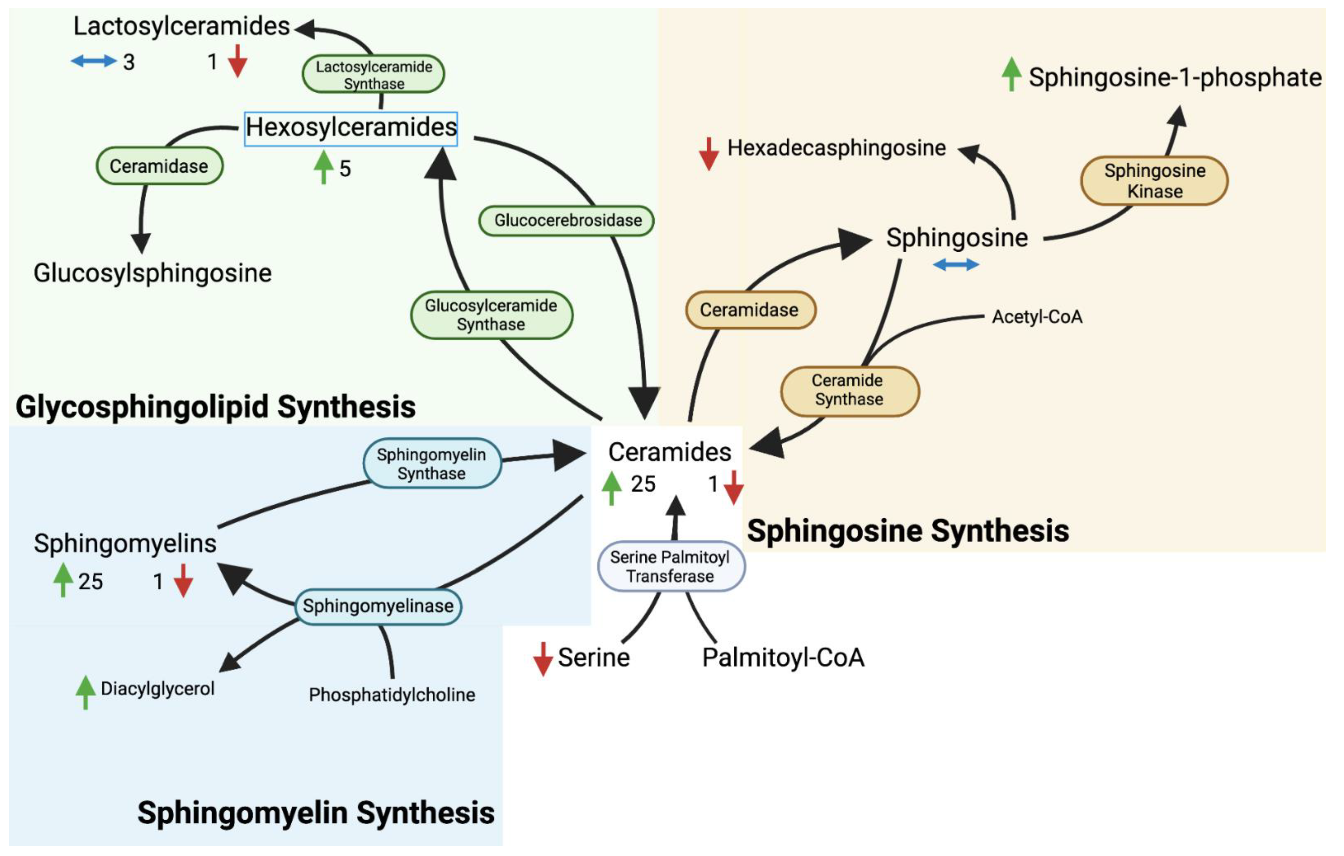 Metabolites 13 01026 g004