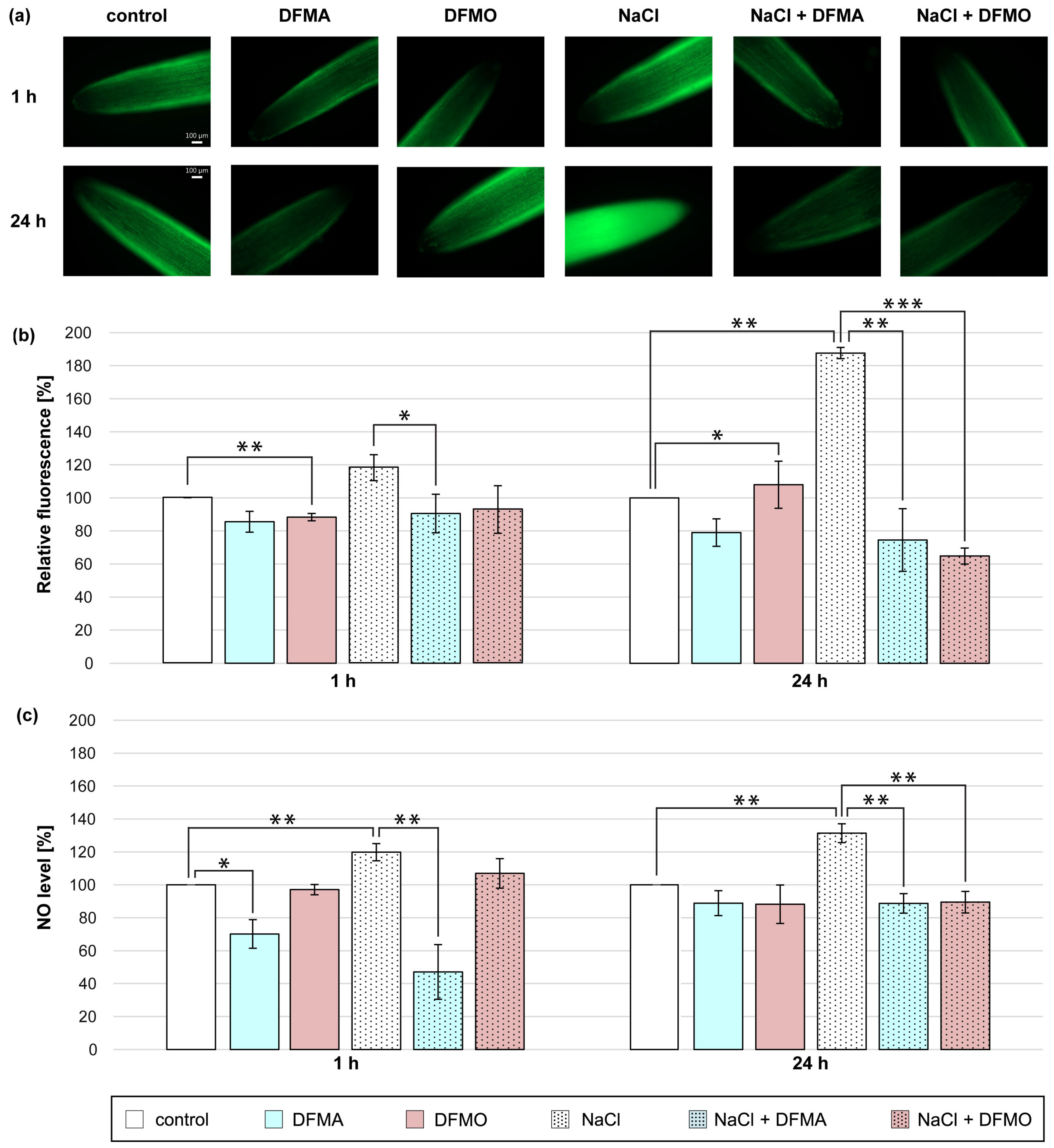 Metabolites 13 01030 g002