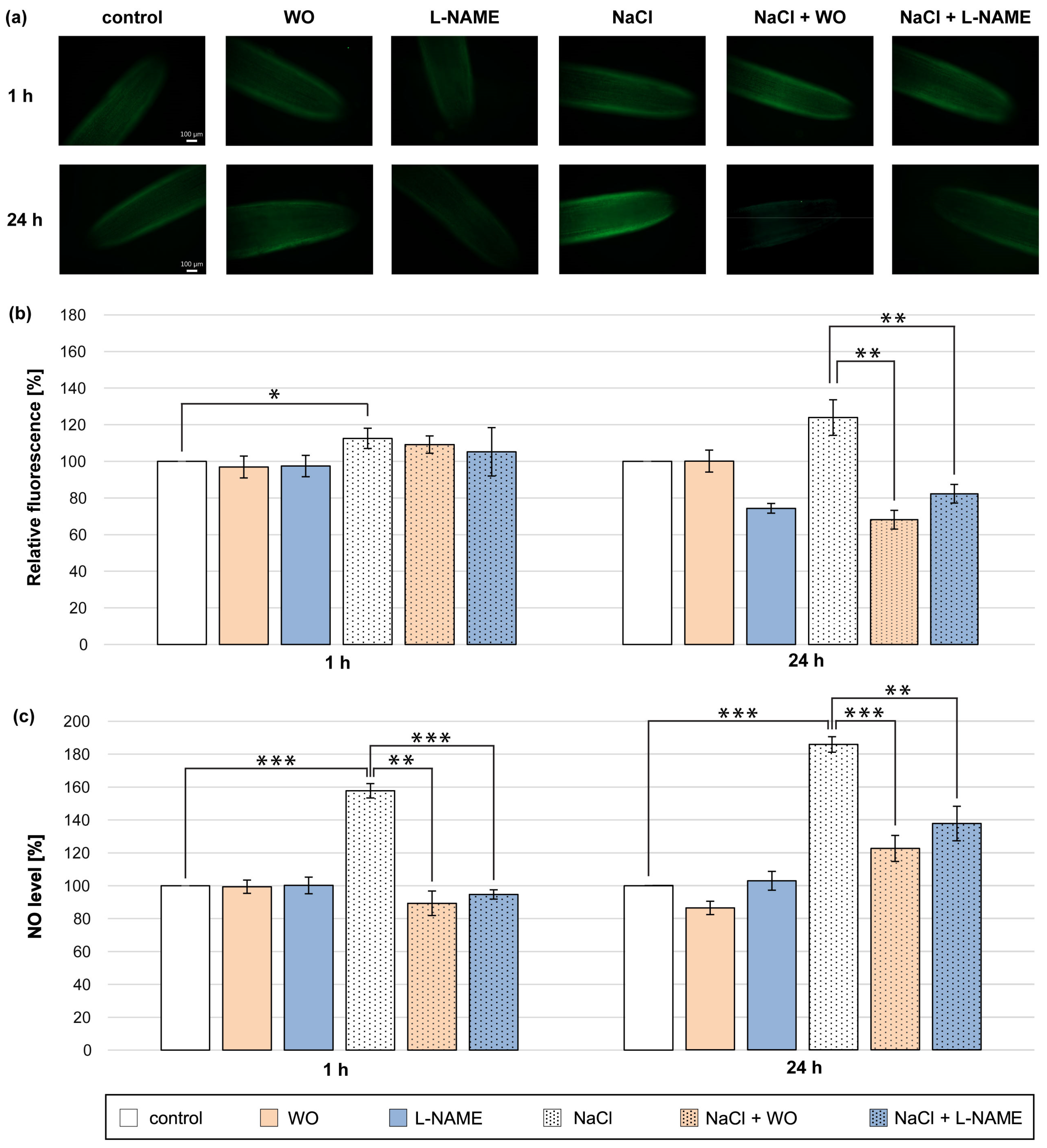 Metabolites 13 01030 g003