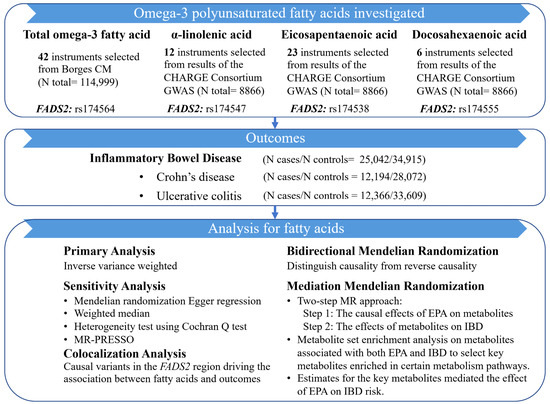 Evaluating the Effects of Omega-3 Polyunsaturated Fatty Acids on 