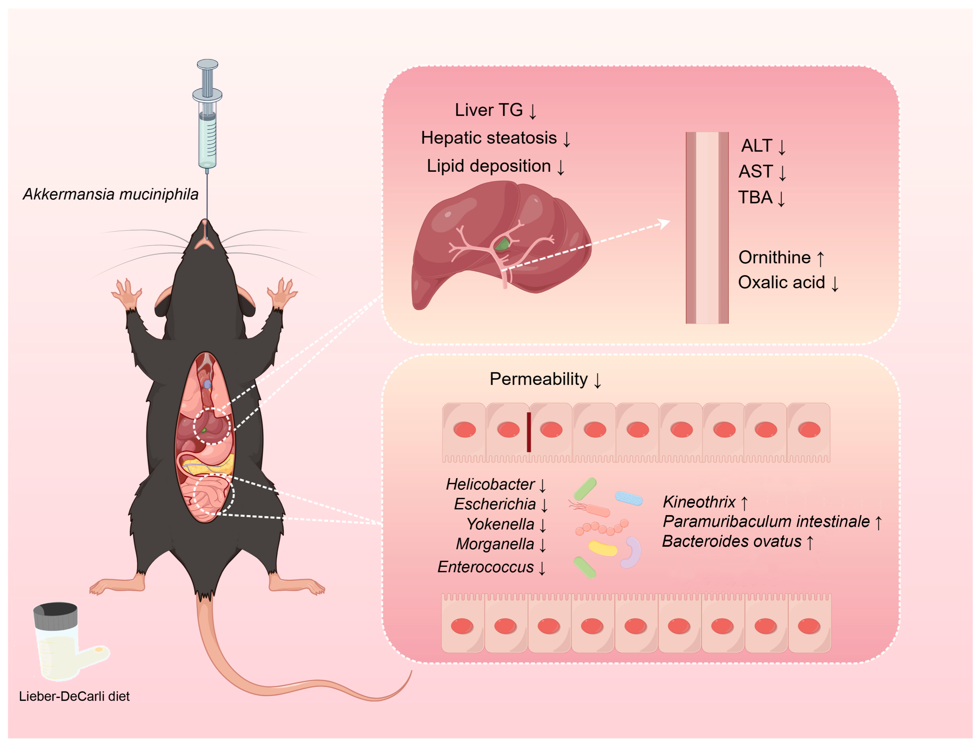 Metabolites 13 01057 g008