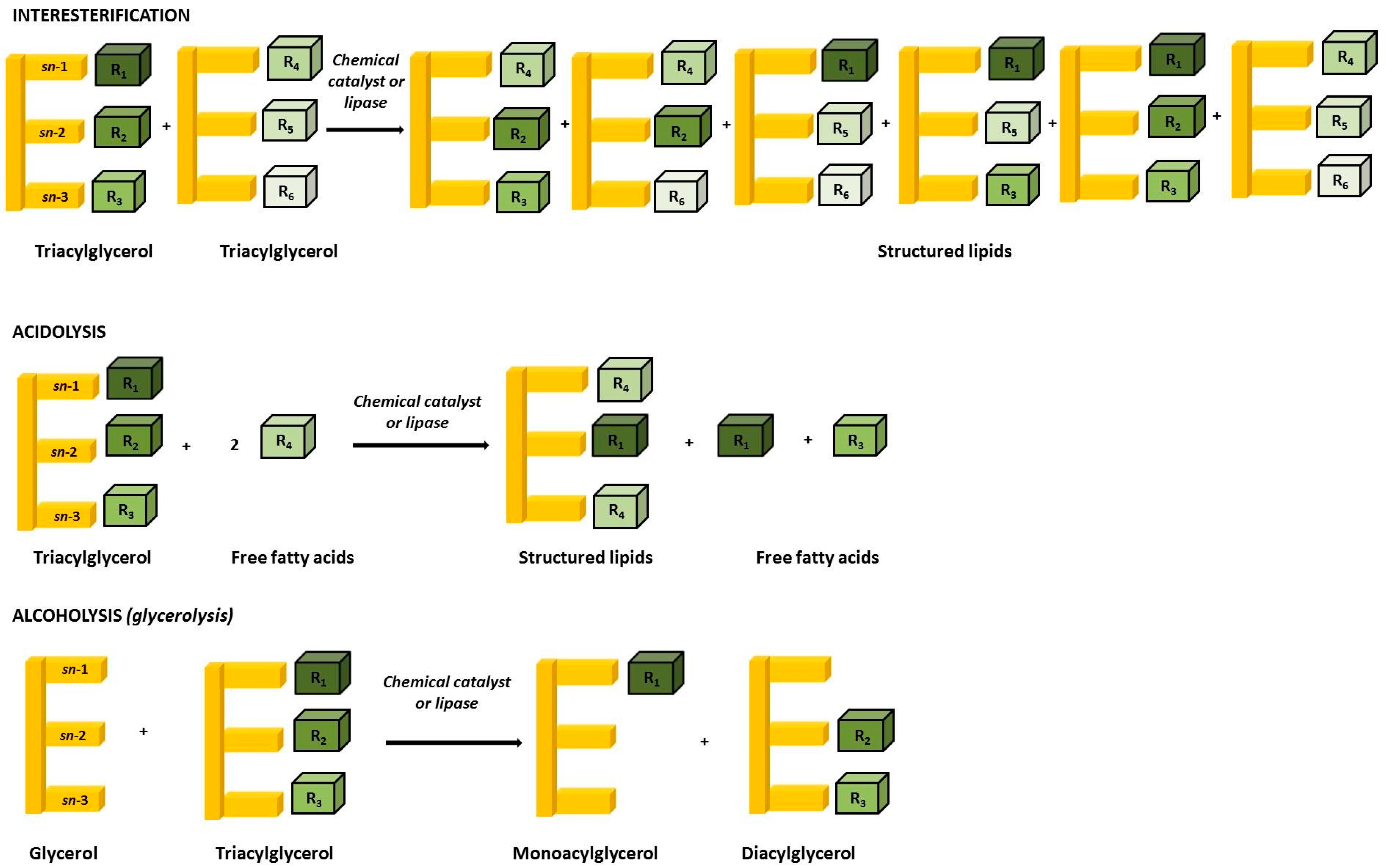 Metabolites 13 01060 g001
