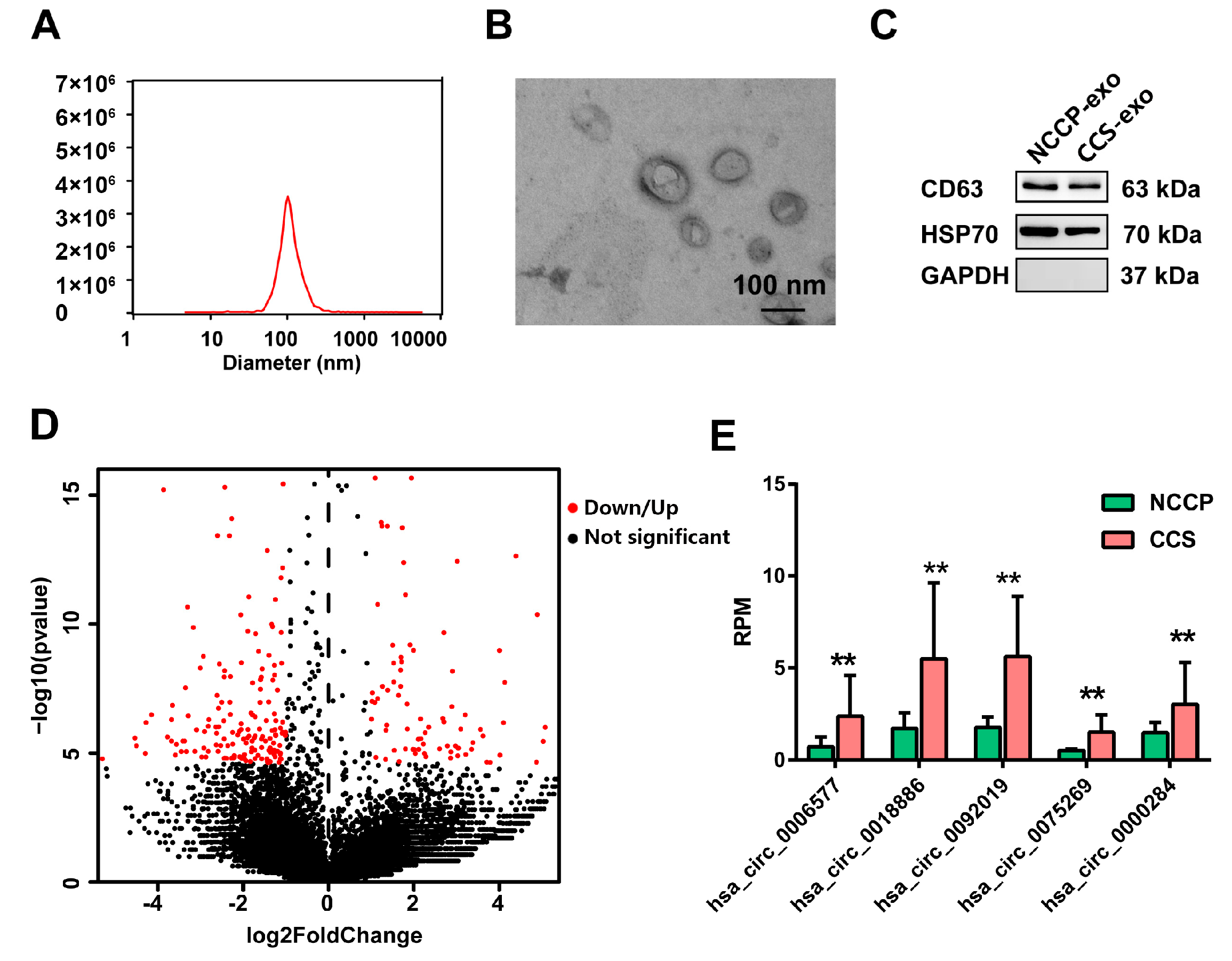 Metabolites 13 01066 g002