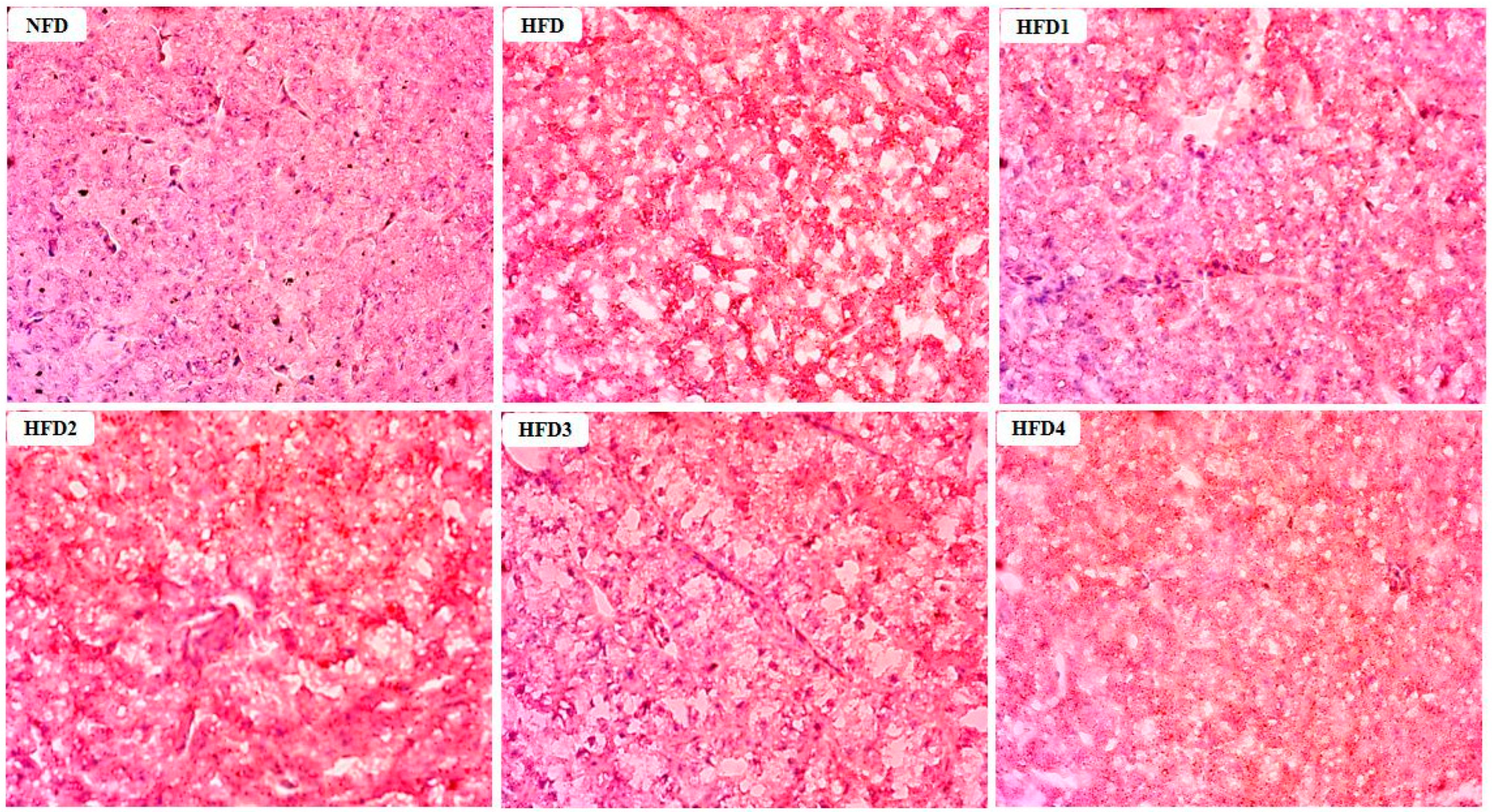 Metabolites 13 01067 g002 Metabolites 13 01067 g002