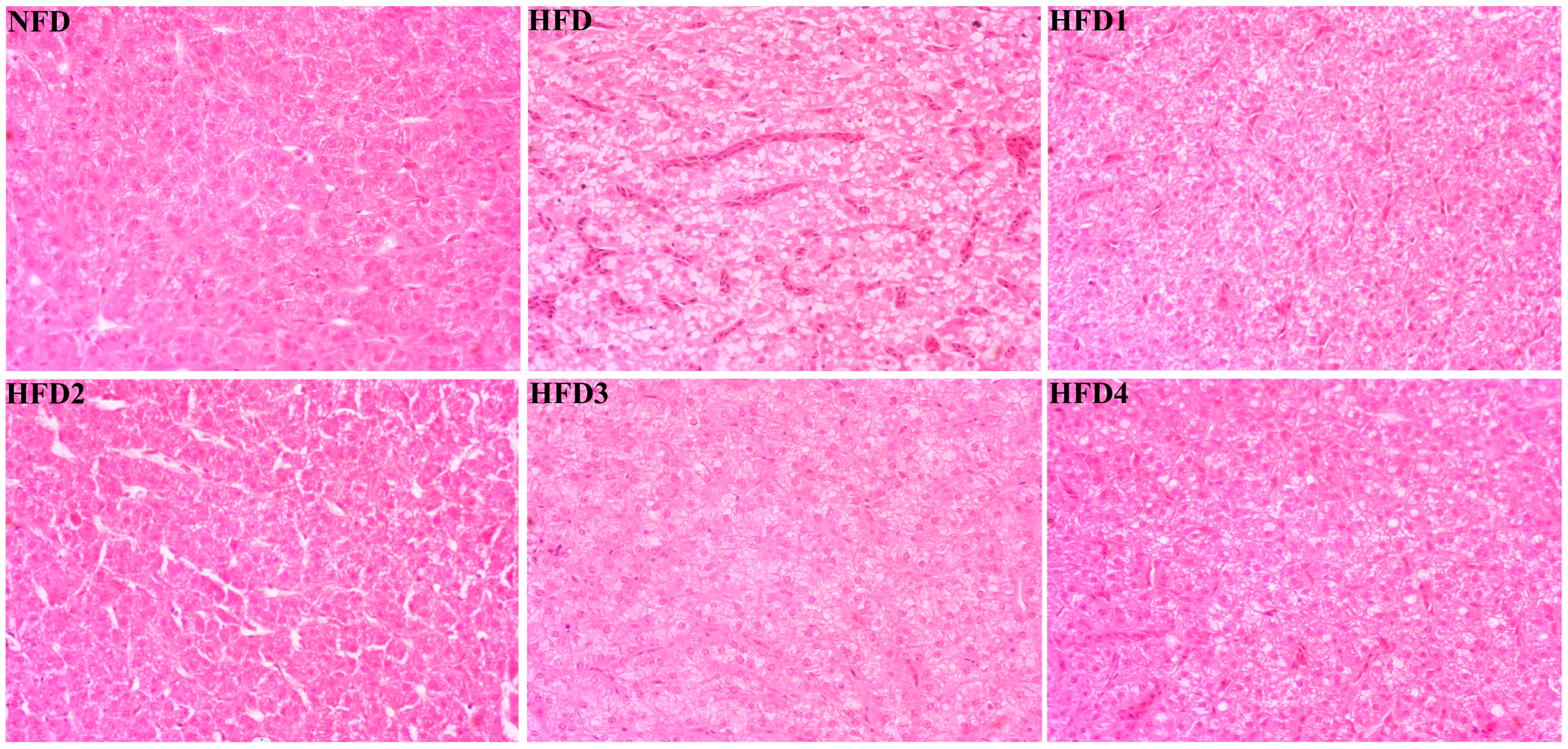 Metabolites 13 01067 g003 Metabolites 13 01067 g003