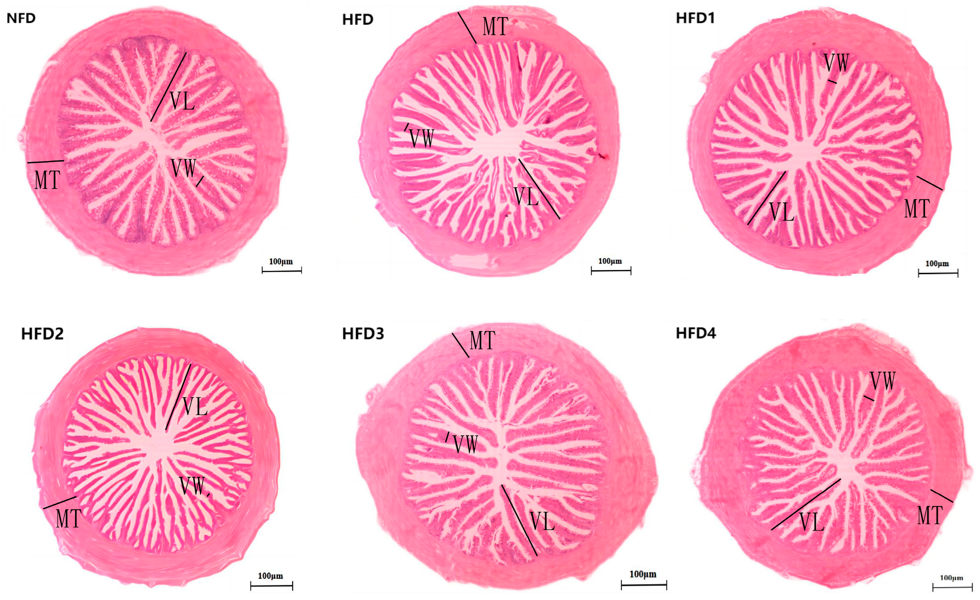 Metabolites 13 01067 g004 Metabolites 13 01067 g004