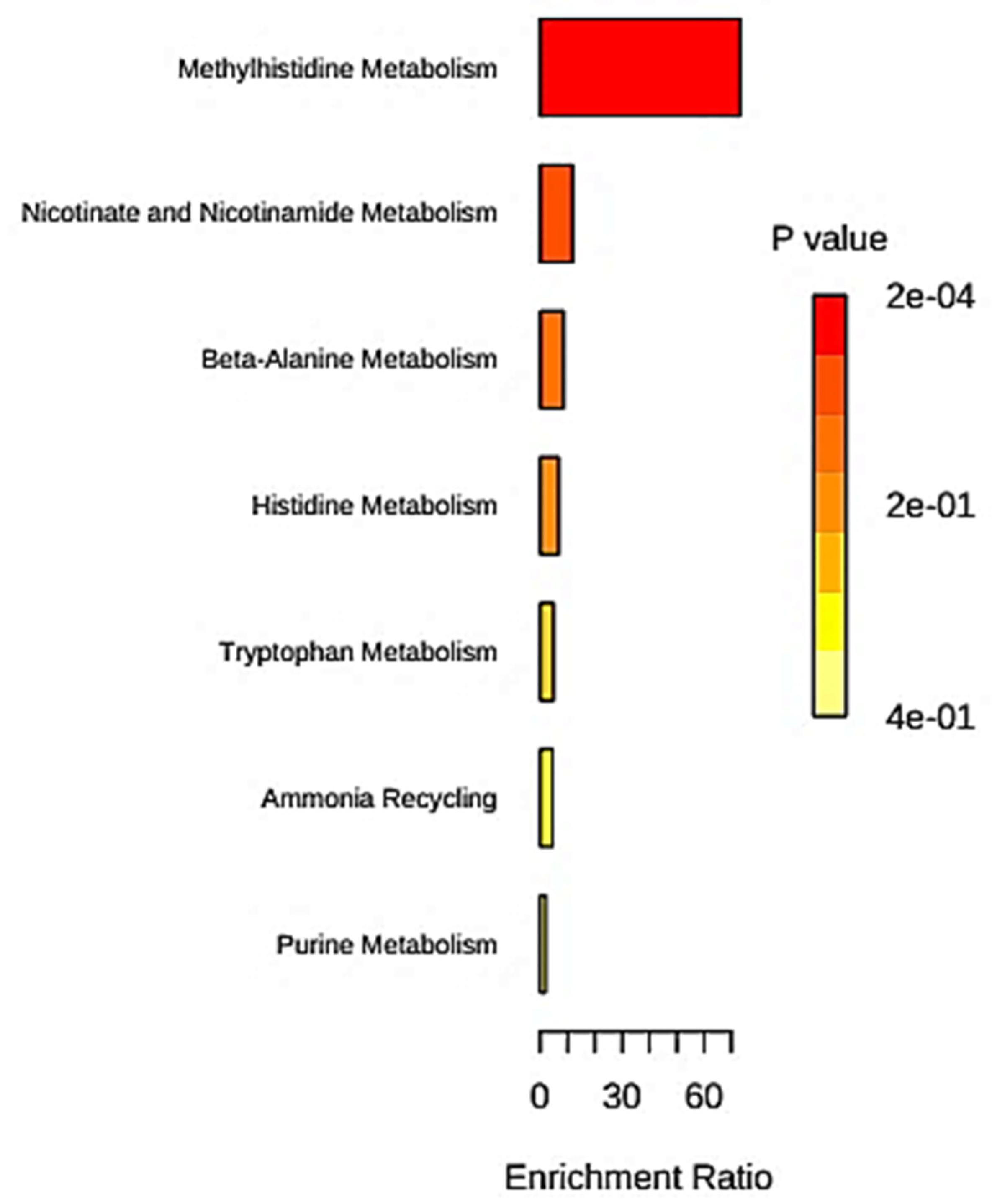 Metabolites 13 01079 g003