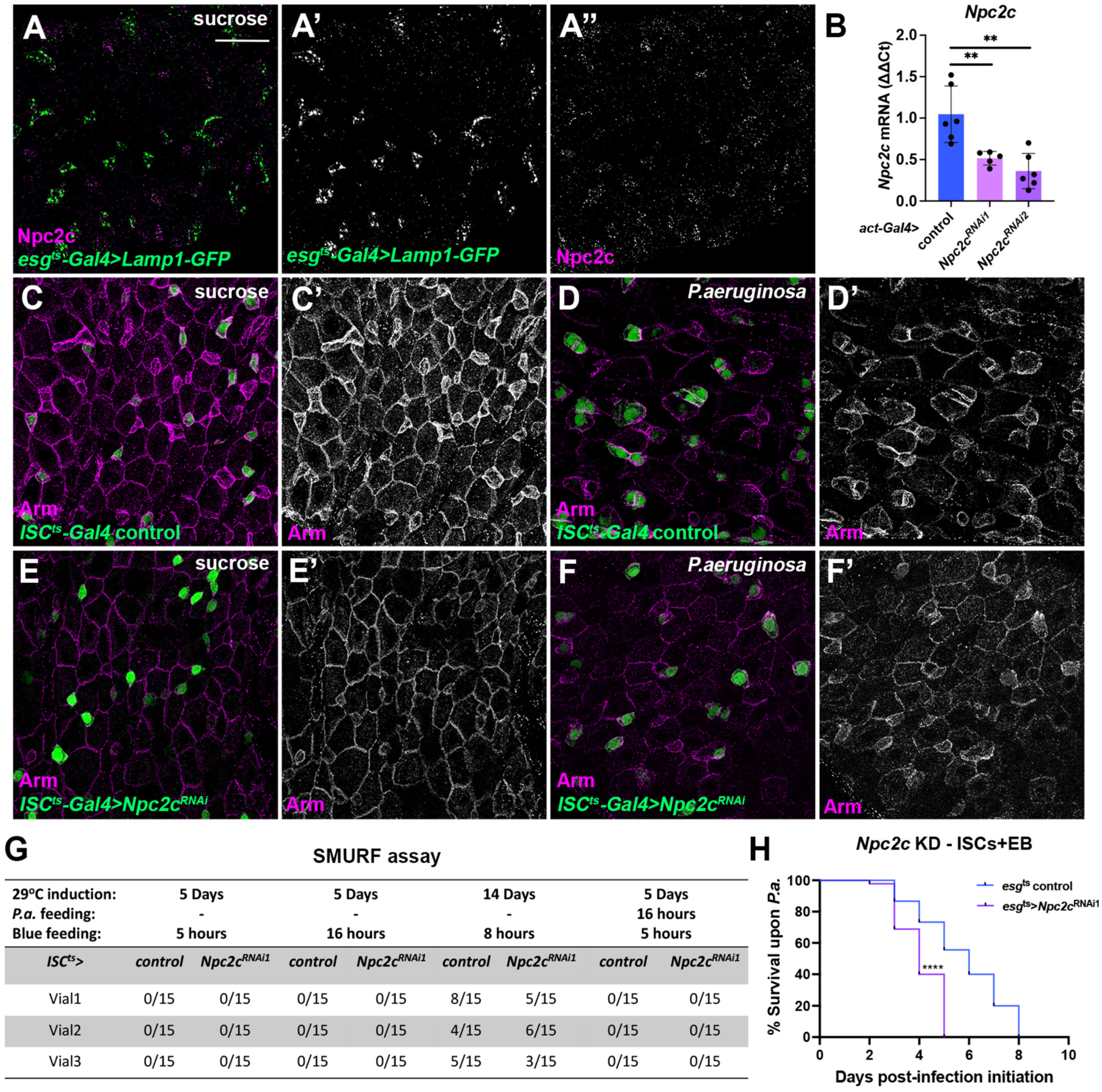 Metabolites 13 01084 g001