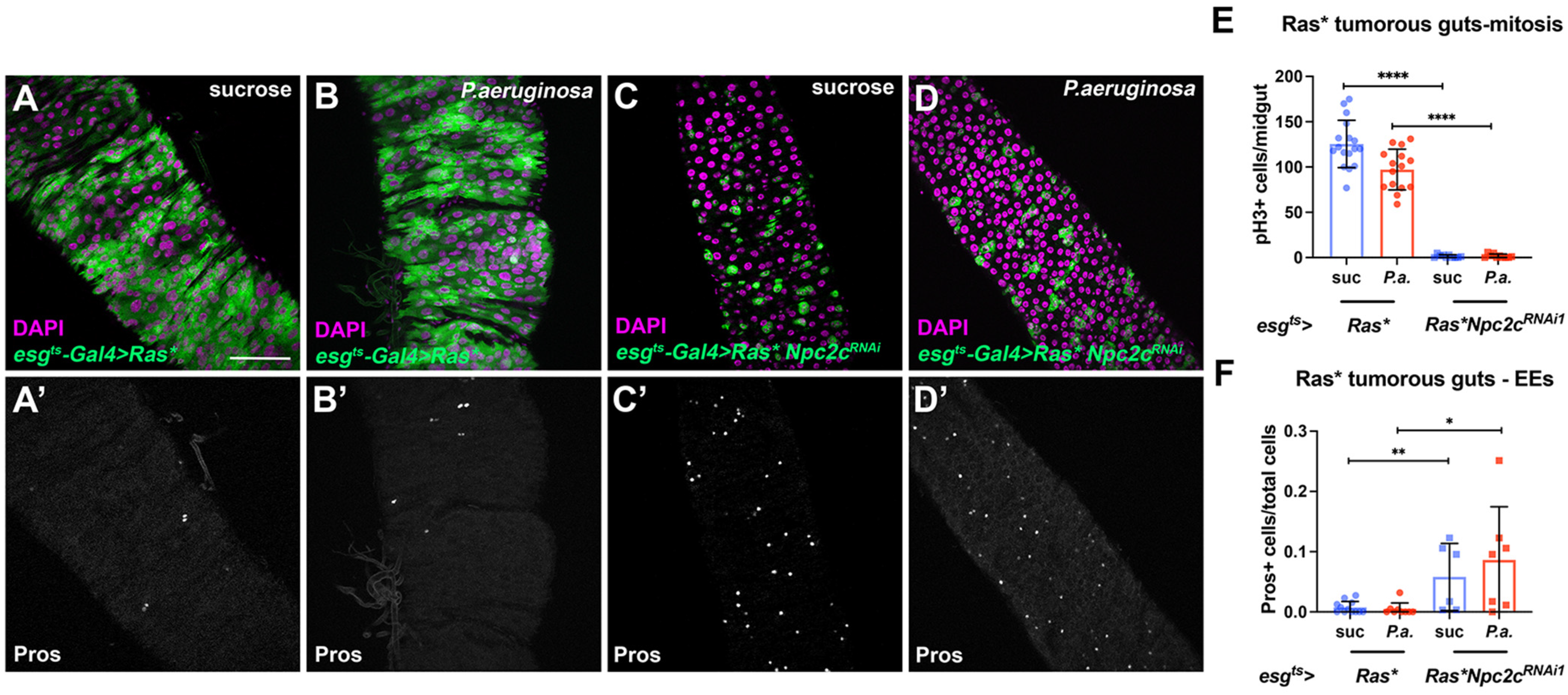 Metabolites 13 01084 g004