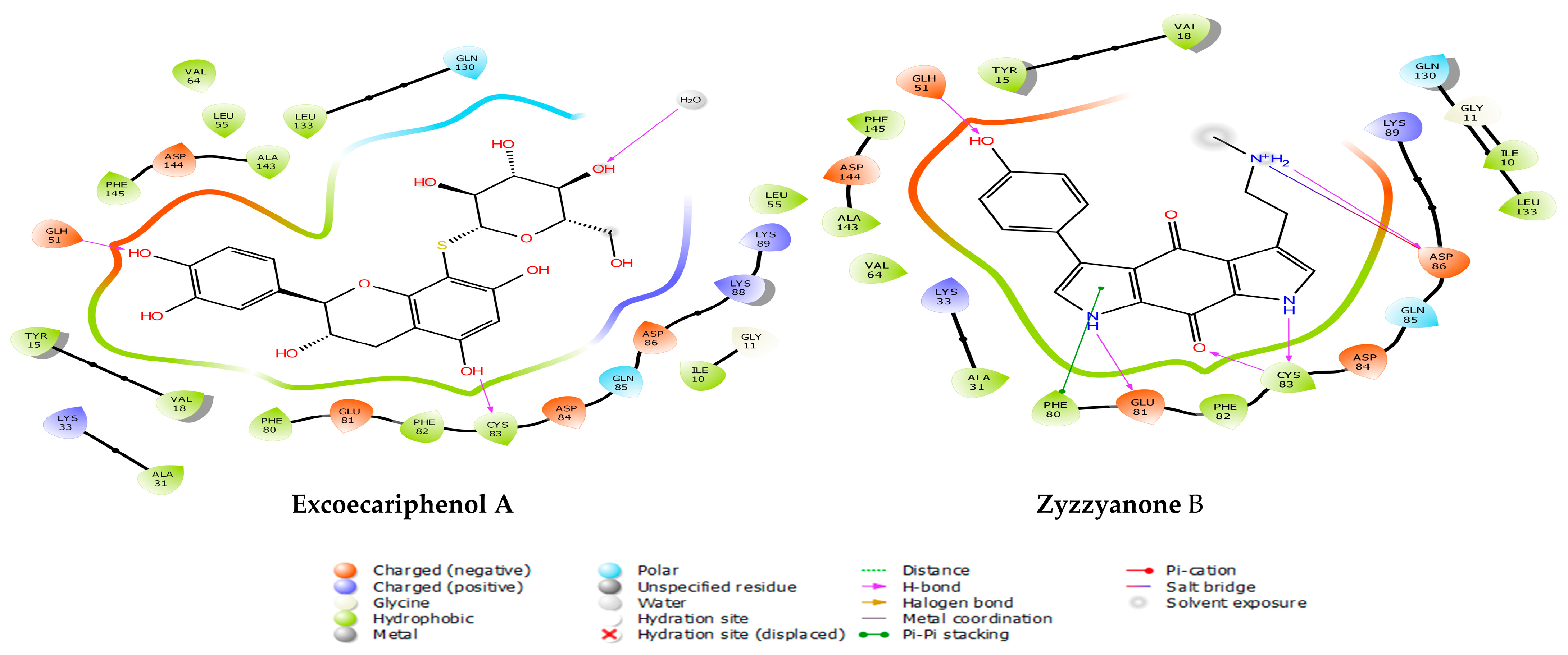 Metabolites 13 01090 g002b