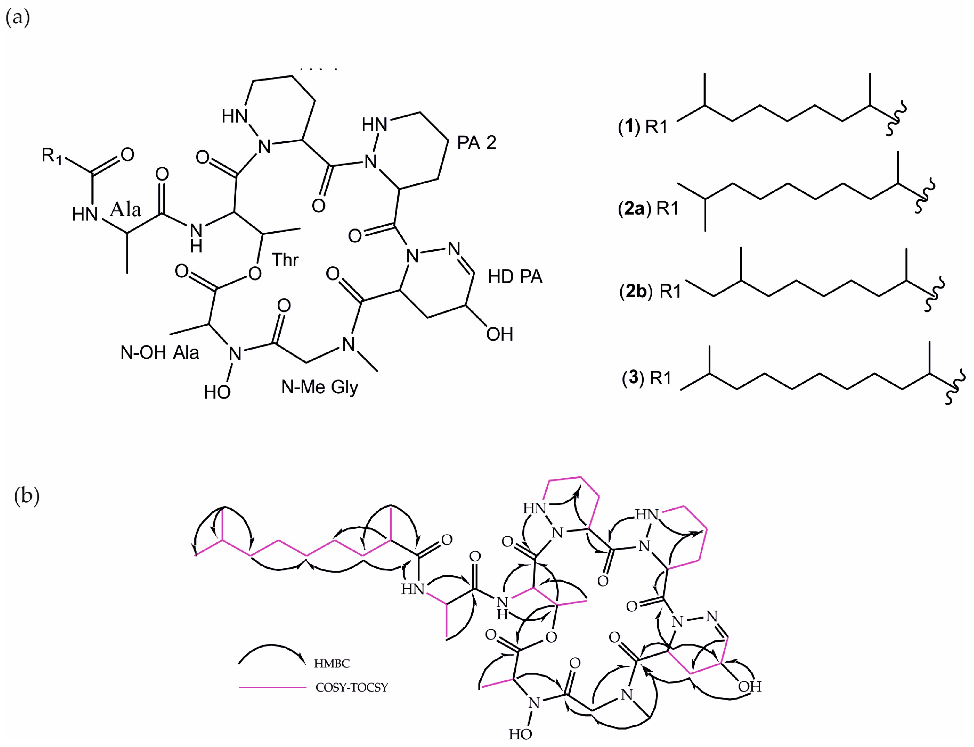 Metabolites 13 01091 g001