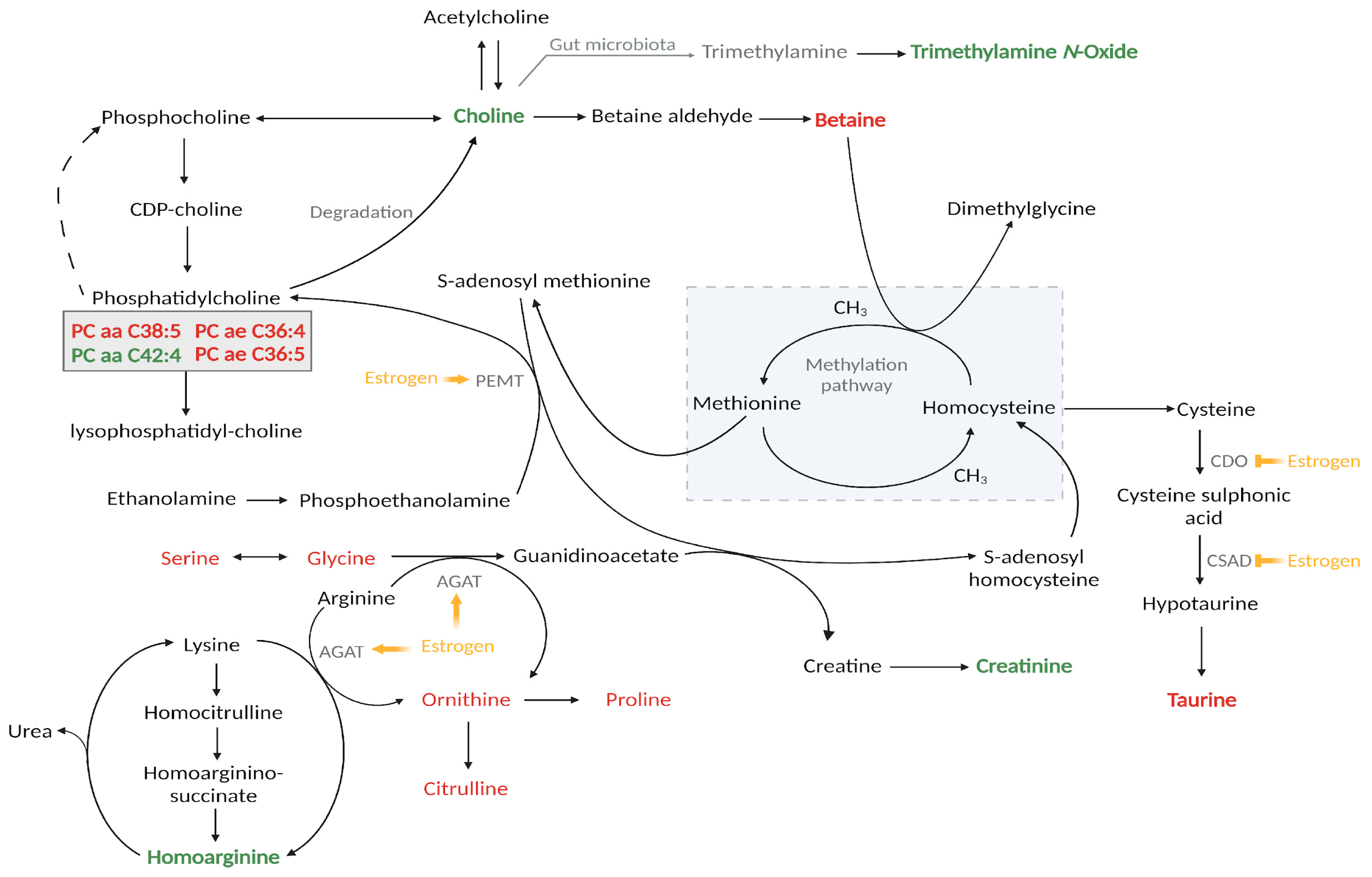 Metabolites 13 01092 g002