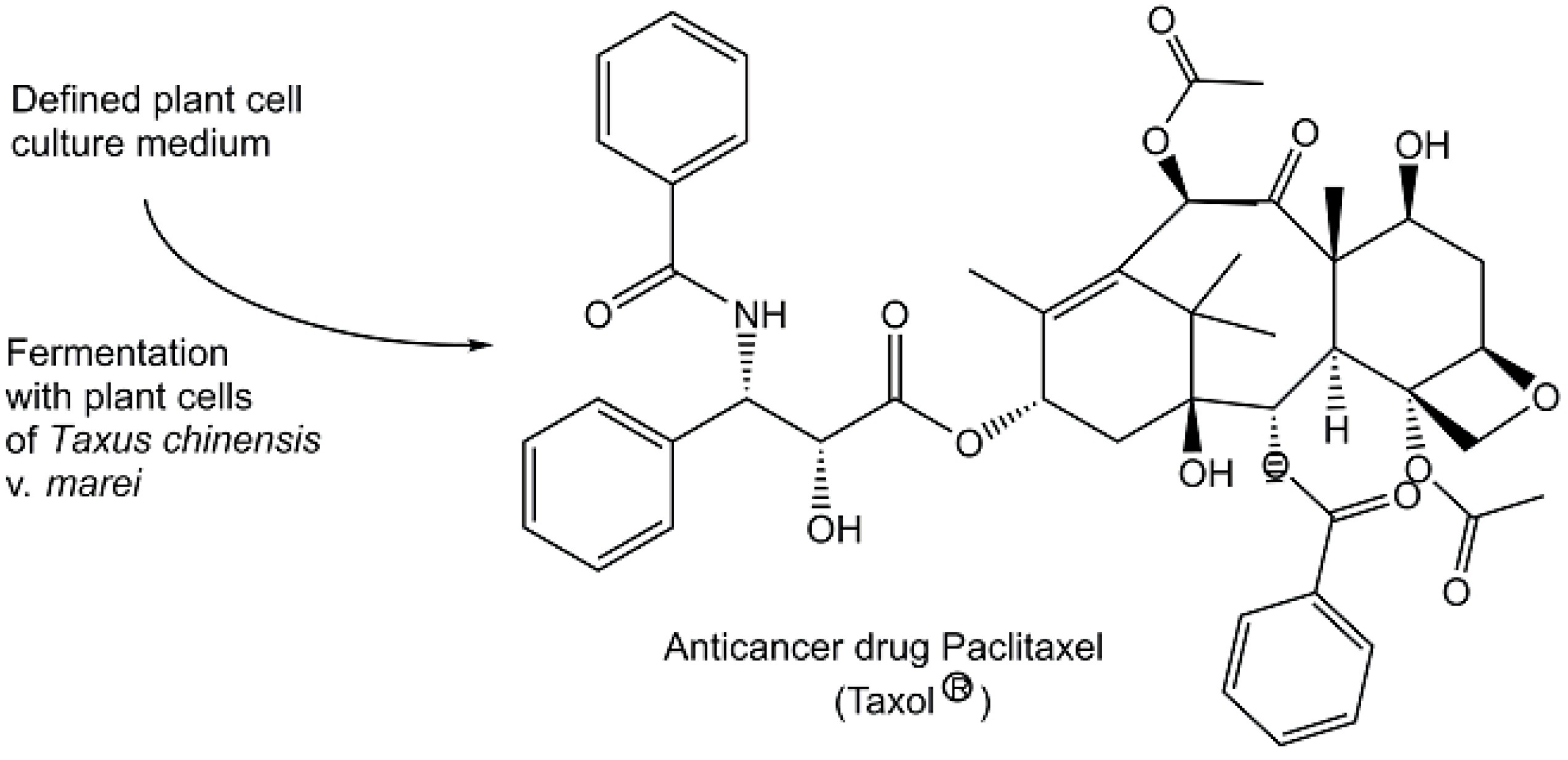 Metabolites 13 01097 g007 Metabolites 13 01097 g007
