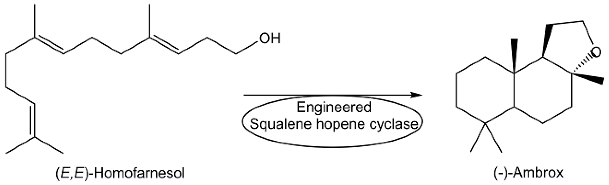 Metabolites 13 01097 g008 Metabolites 13 01097 g008