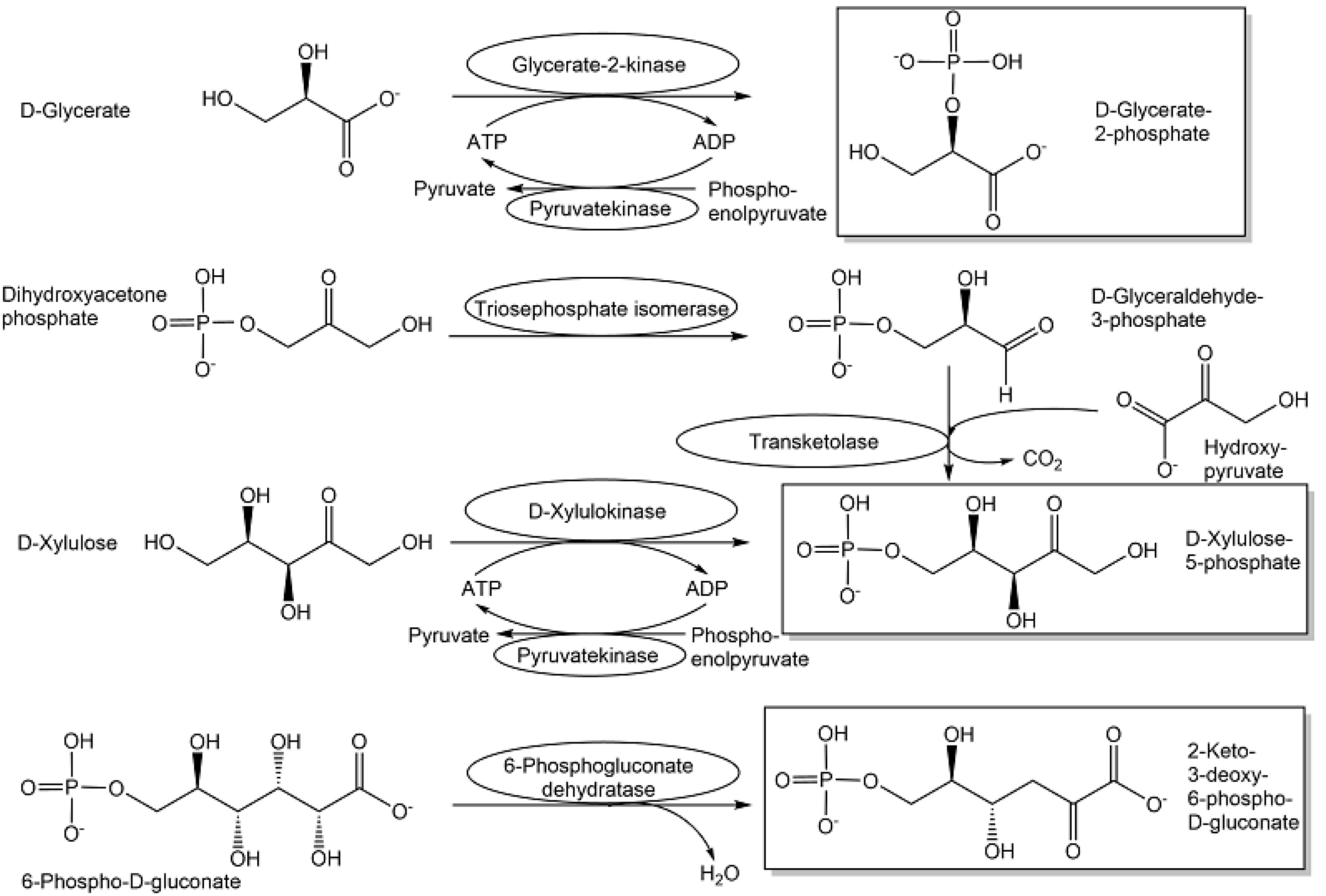 Metabolites 13 01097 g009 Metabolites 13 01097 g009