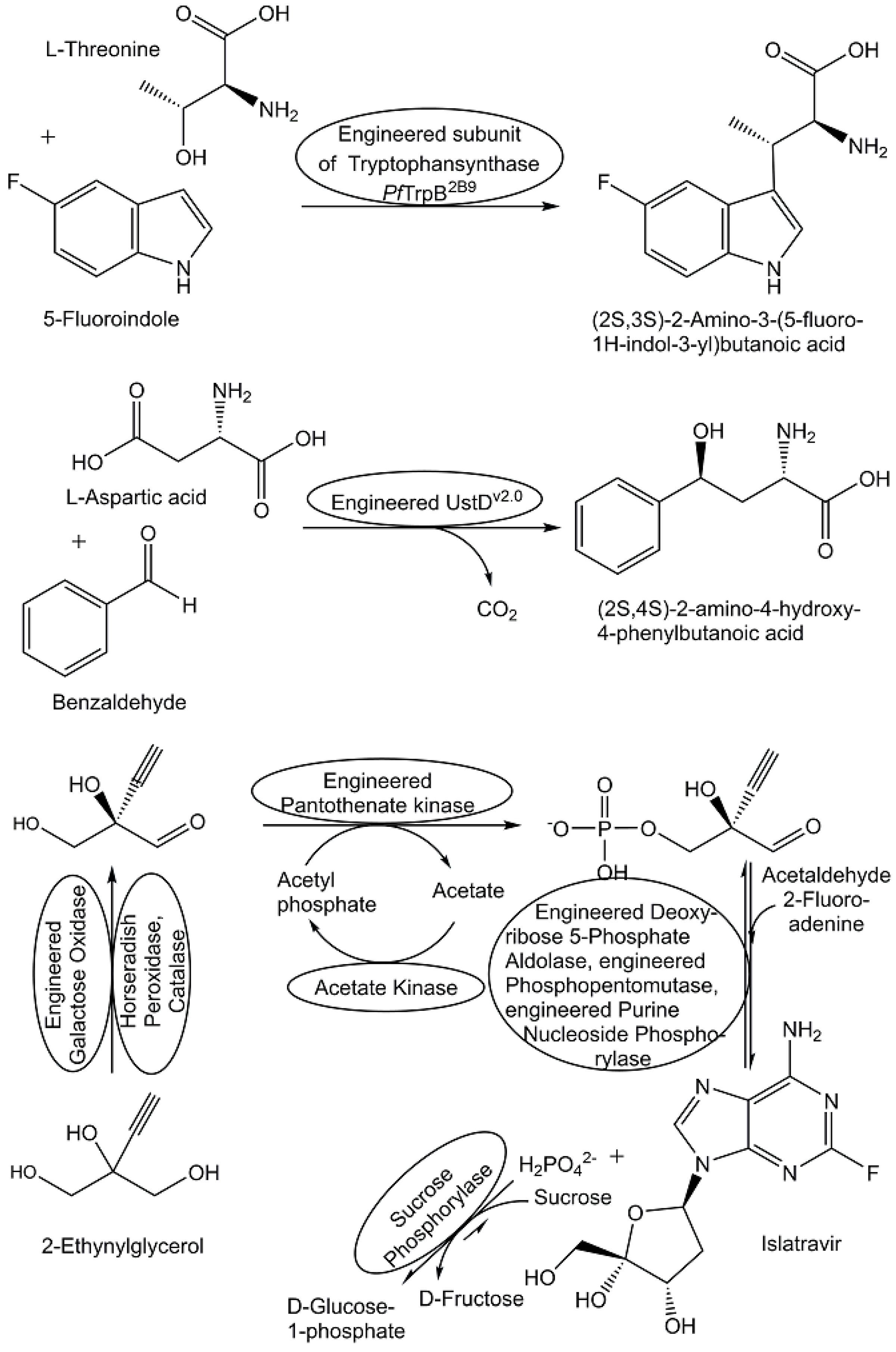 Metabolites 13 01097 g012 Metabolites 13 01097 g012