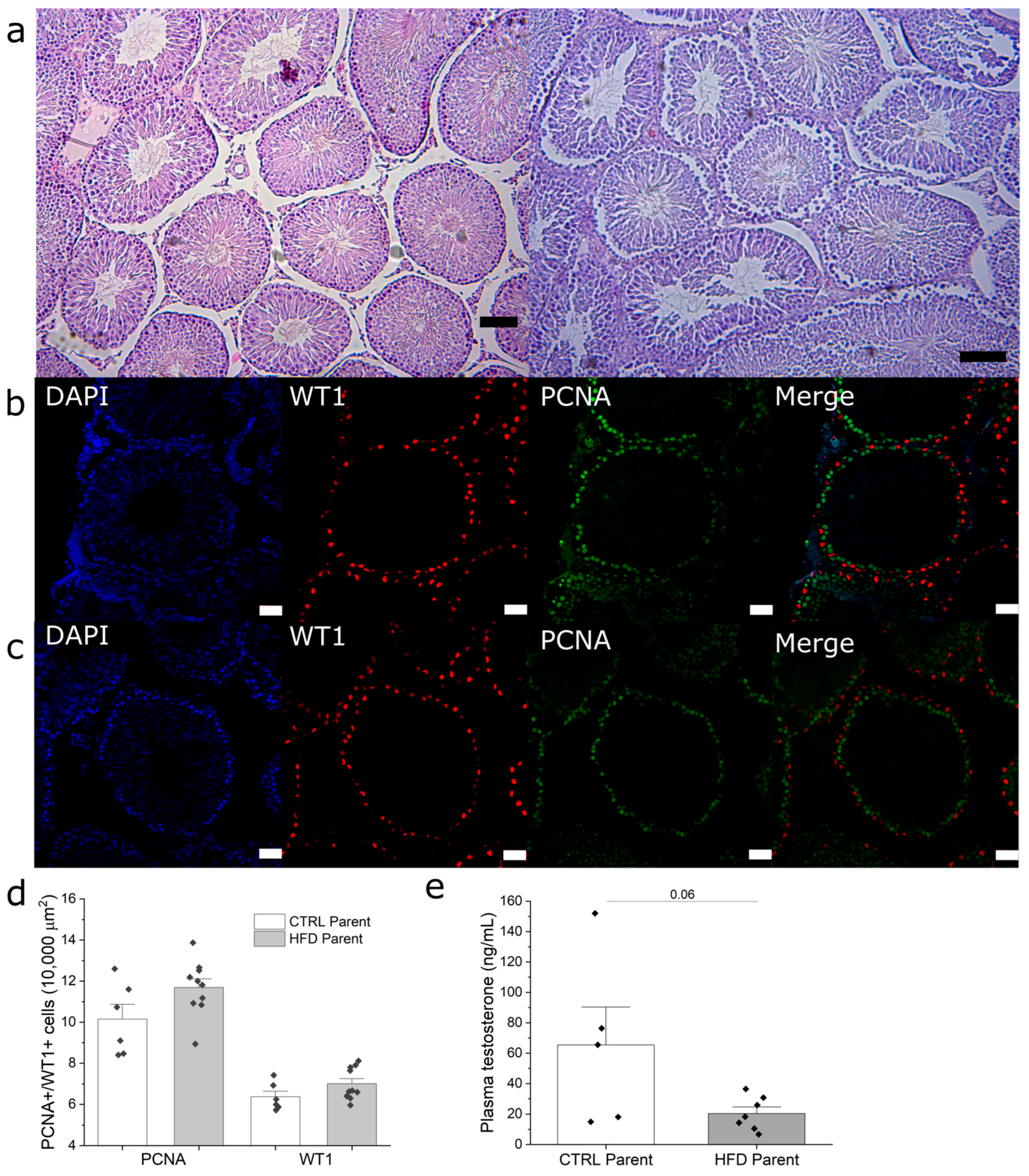 Metabolites 13 01098 g003